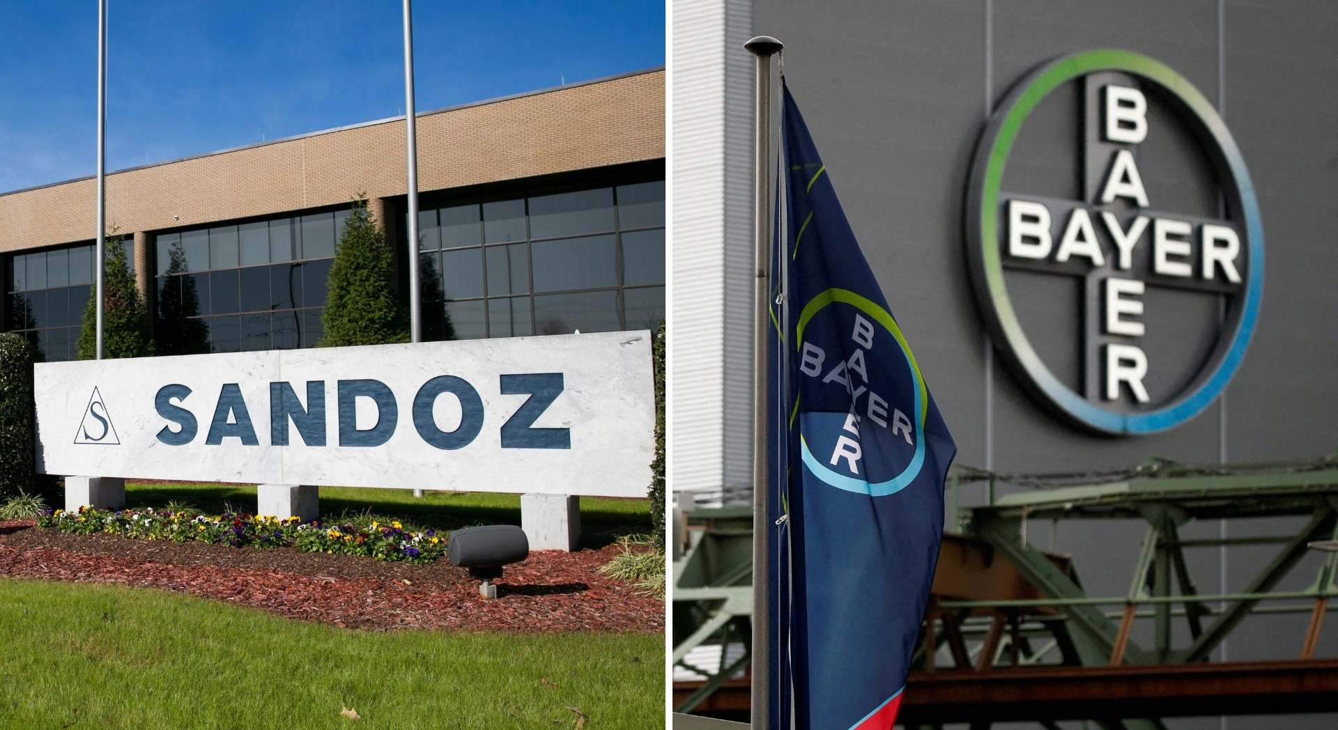 sandozybayer