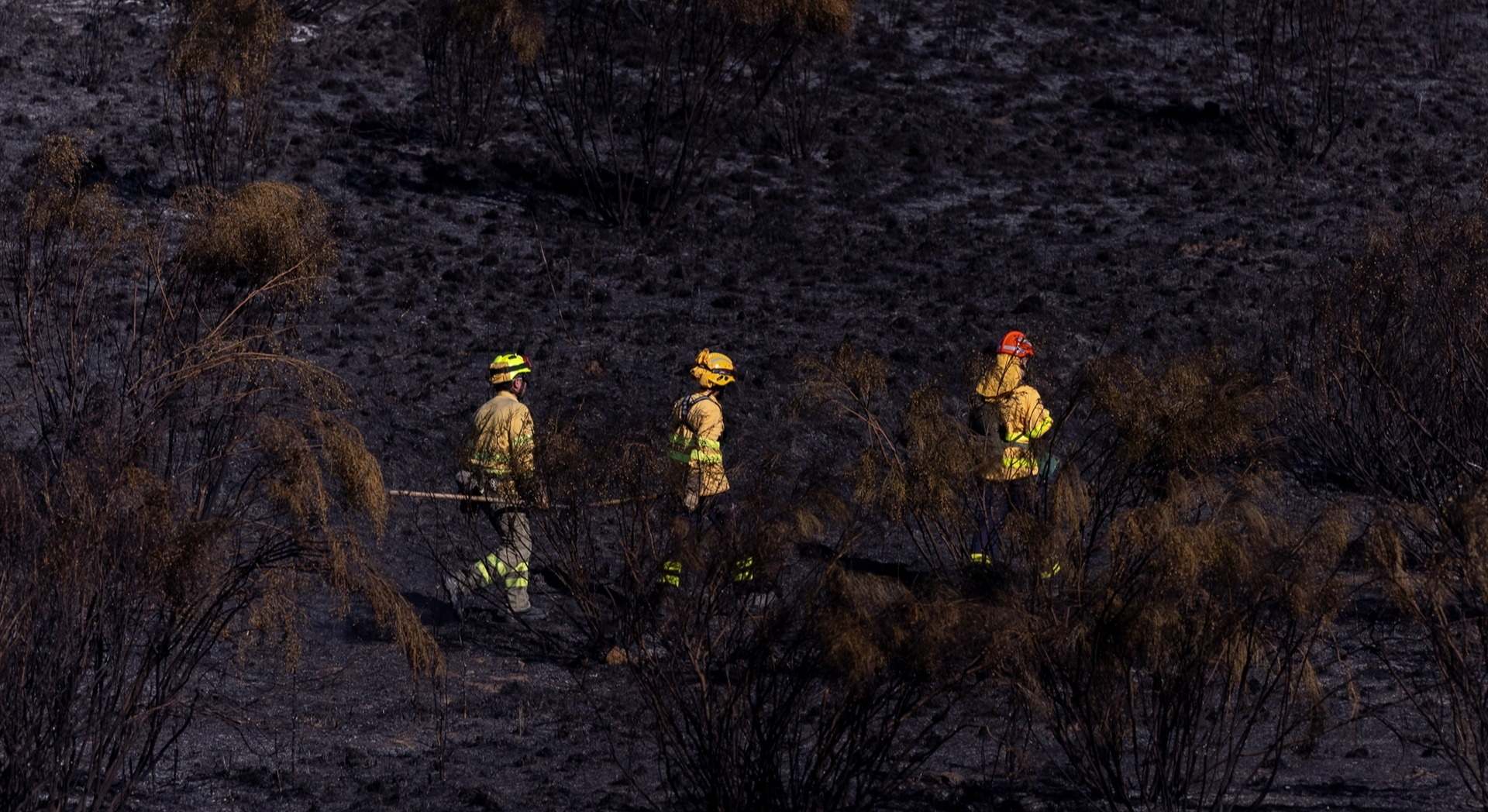 Brigadas forestales trabajan en labores de extinción del incendio, en las inmediaciones de la urbanización Calypo Fado