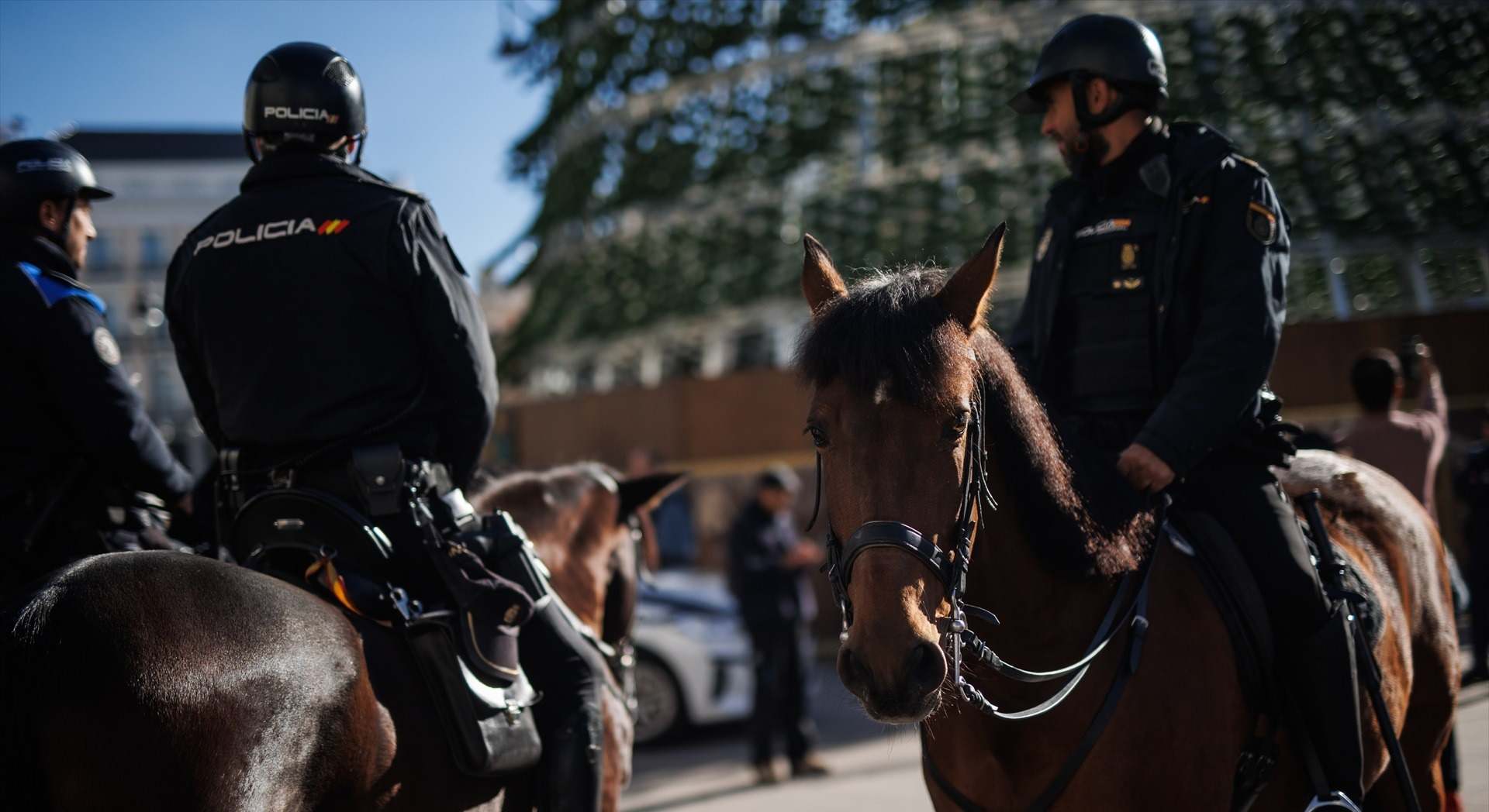 caballos de la Policía Nacional