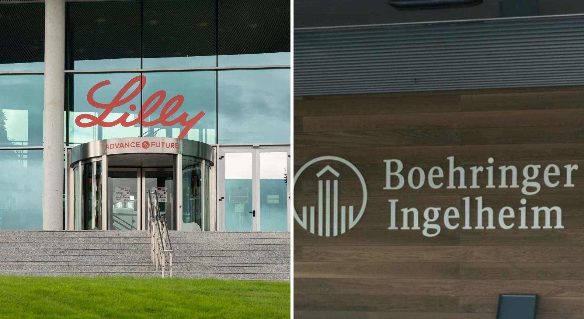Lilly y Boehringer