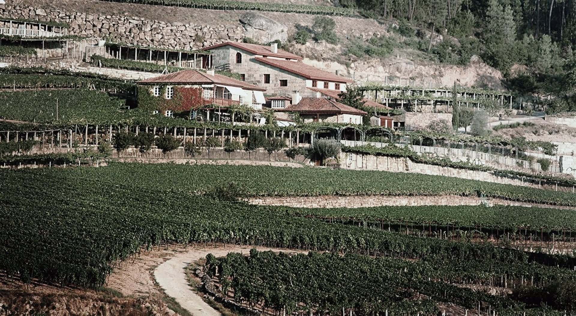 La bodega A Vilerna ubicada en la zona del Ribeiro en Ourense.