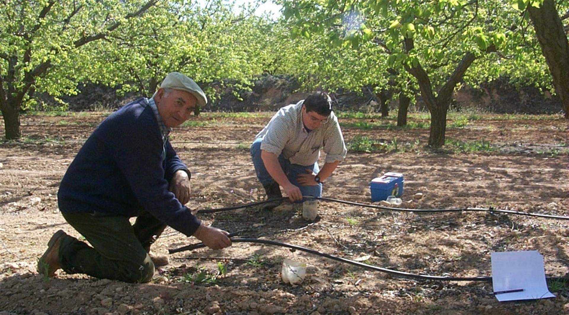 campo 1