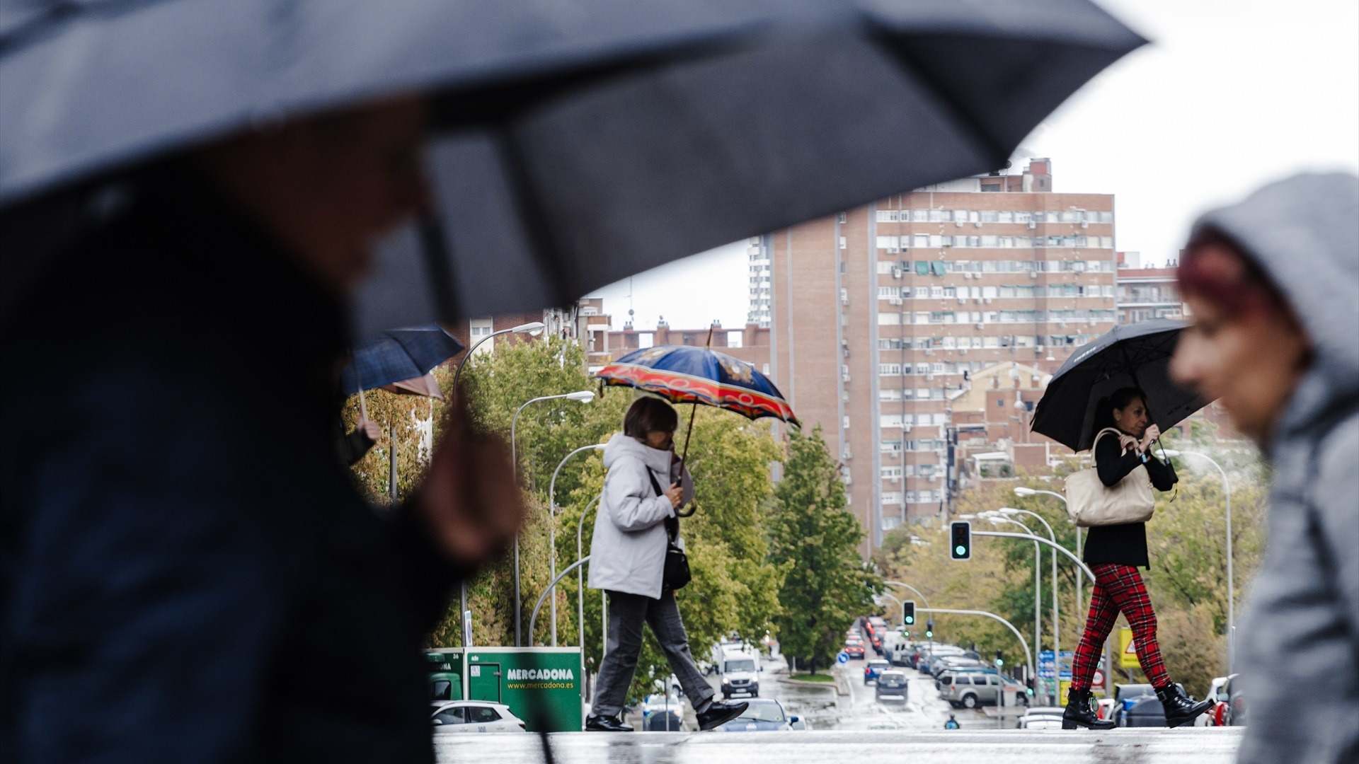 Personas protegiéndose de la lluvia
