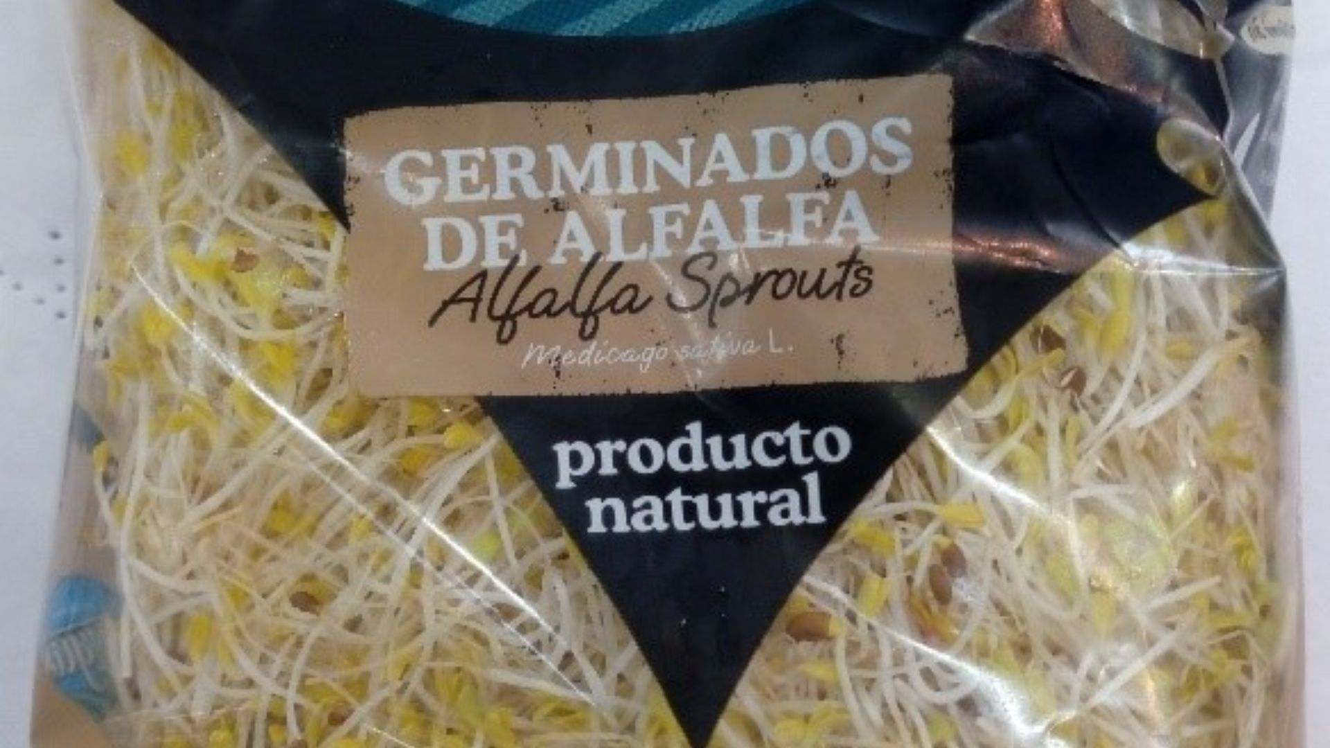 Un montón de brotes de alfalfa