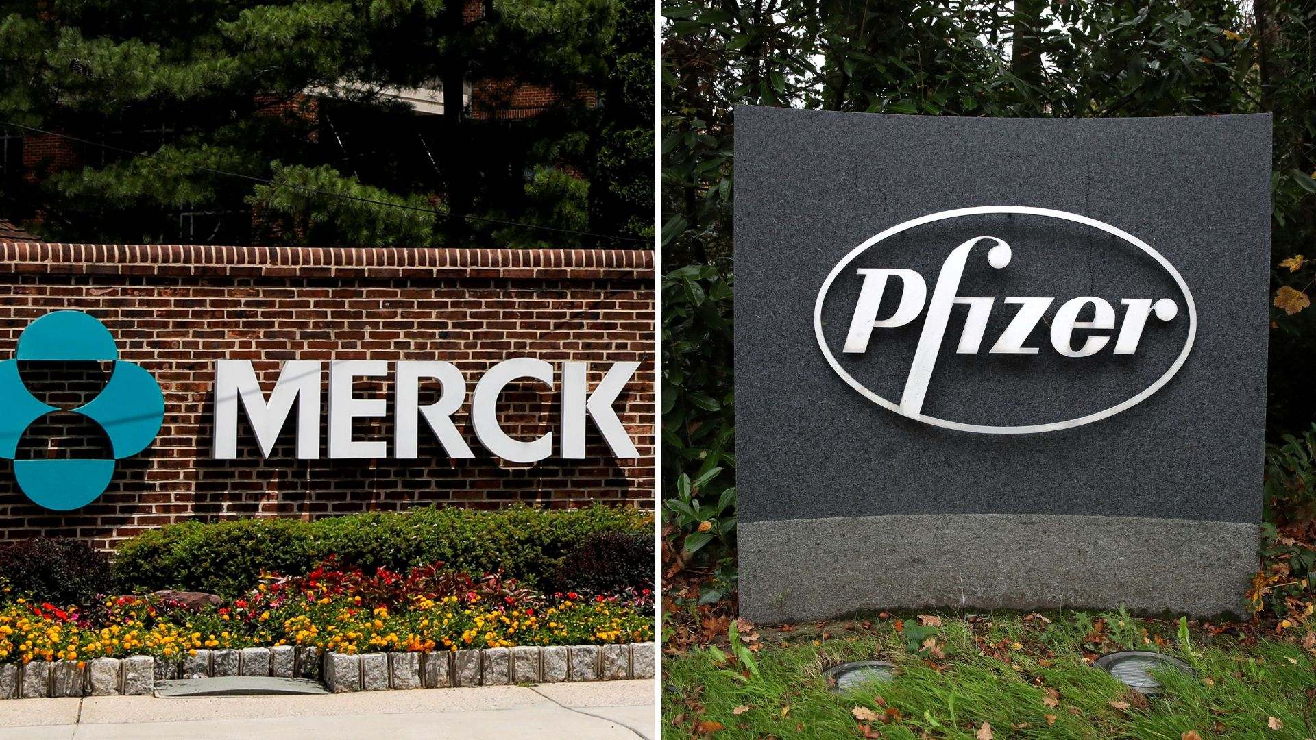 msdpfizer