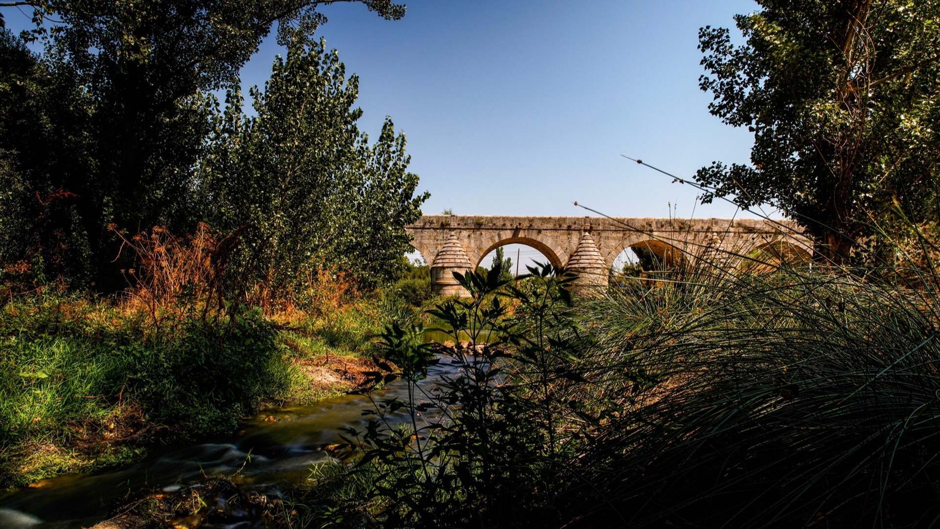El sendero Camino Viejo de Las Matas, Las Rozas, Comunidad de Madrid