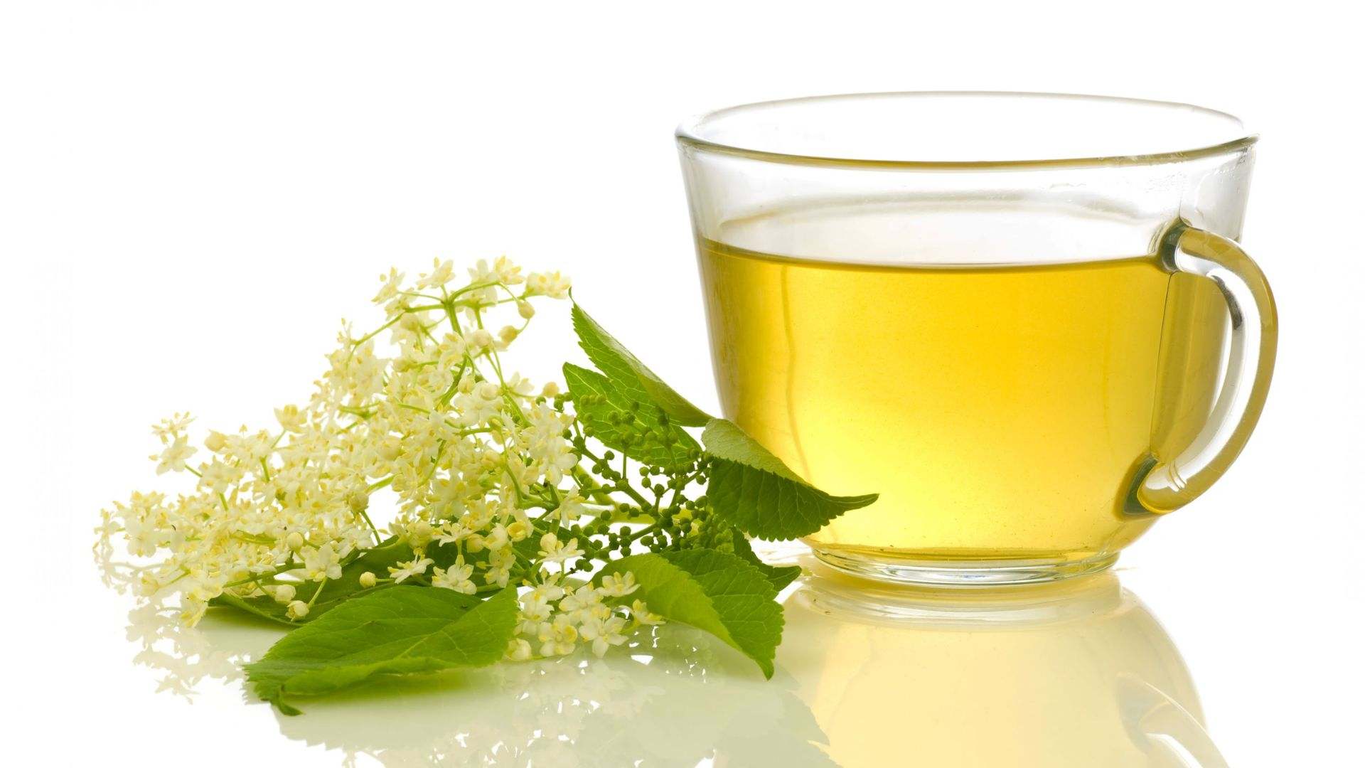 La infusión de flor de sauco se utiliza para resfriados