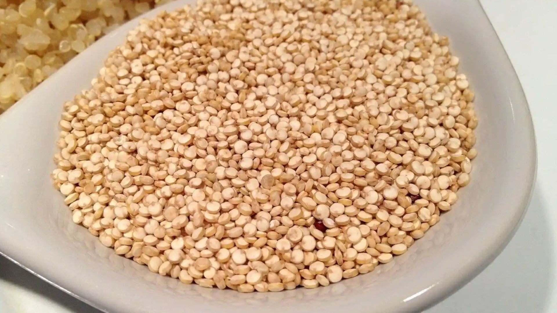 Un recipiente con quinoa