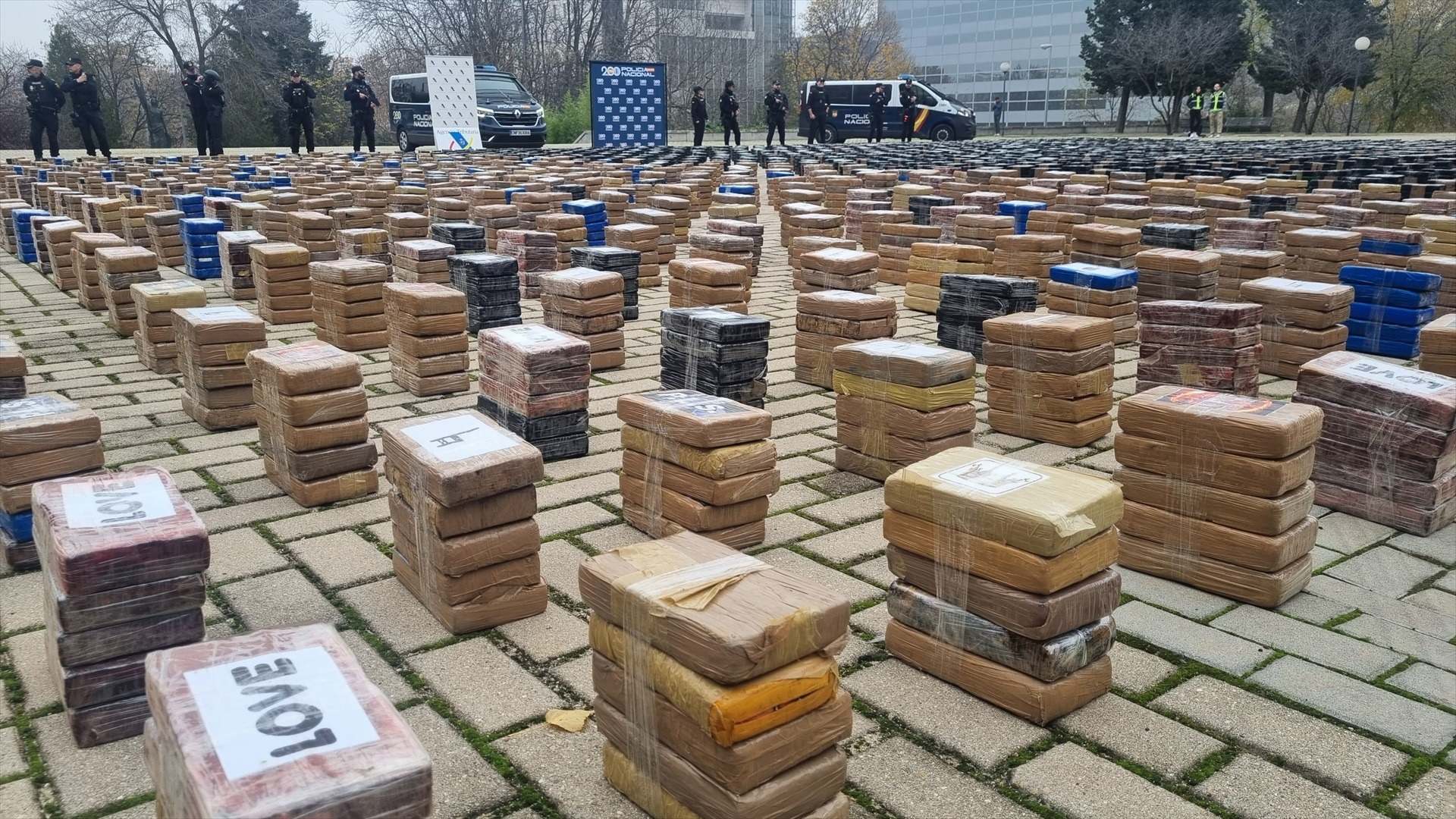 Lote de cocaína intervenida en Valencia
