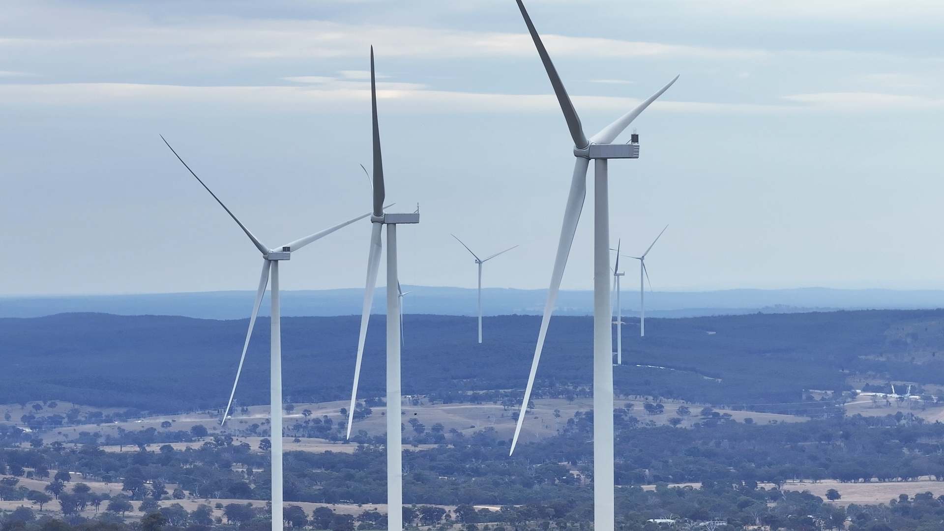 El parque eólico de MacIntyre. ACCIONA ENERGÍA