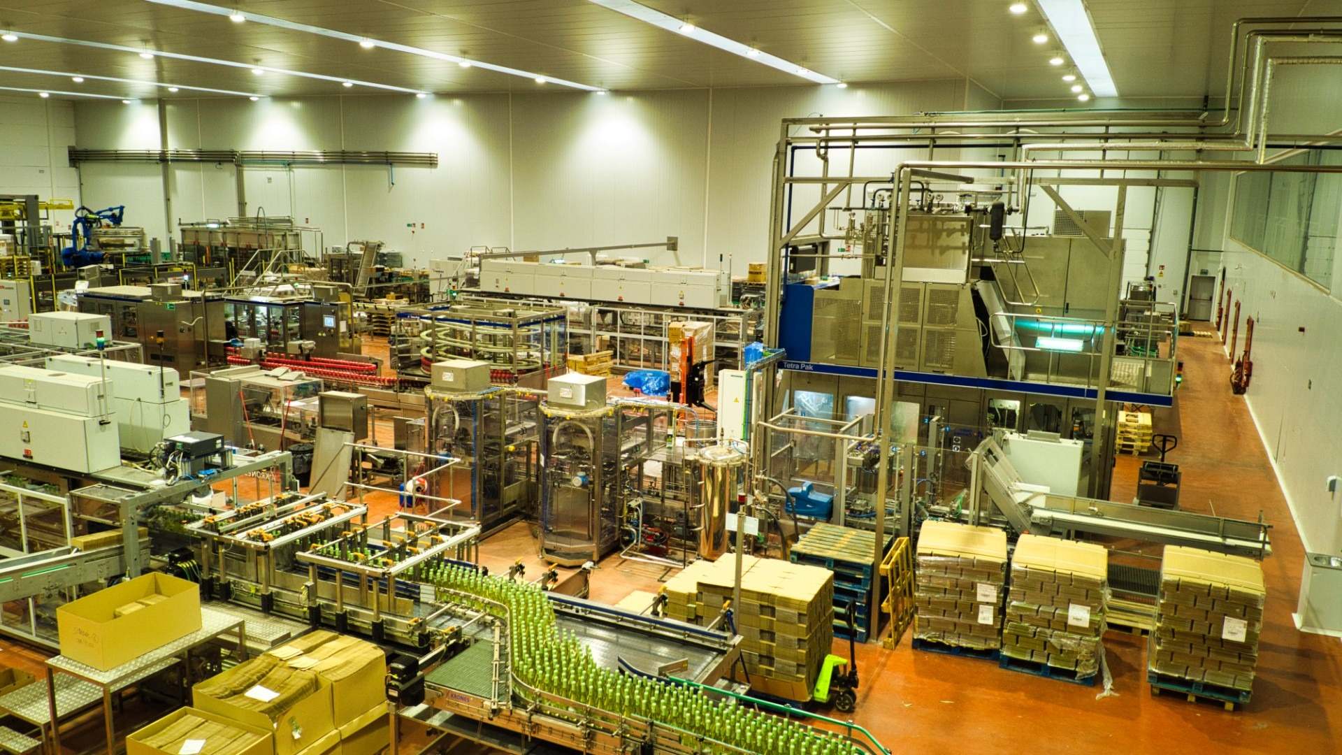 panta industrial vino Baco Dcoop