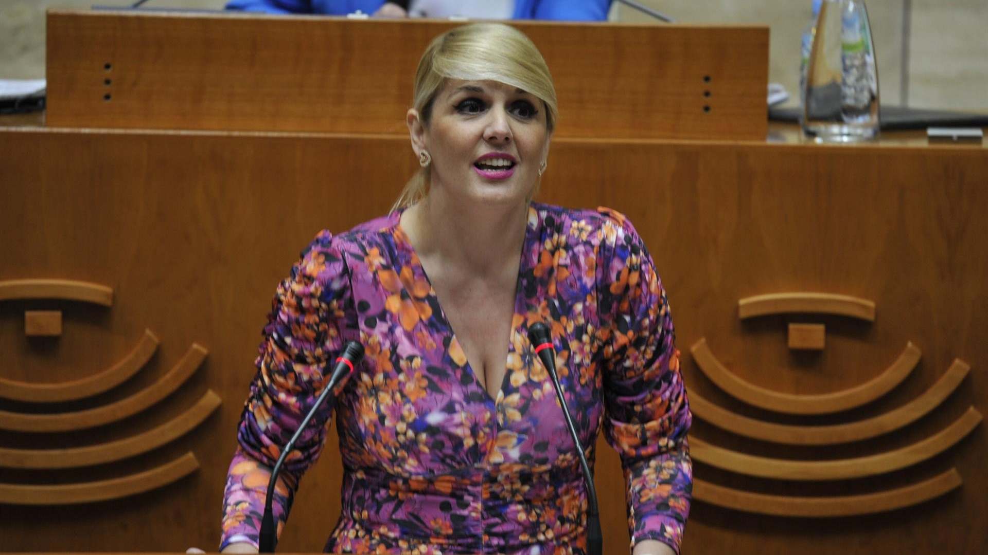 Elena Manzano, consejera Hacienda y Administración Pública en sesión parlamentaria