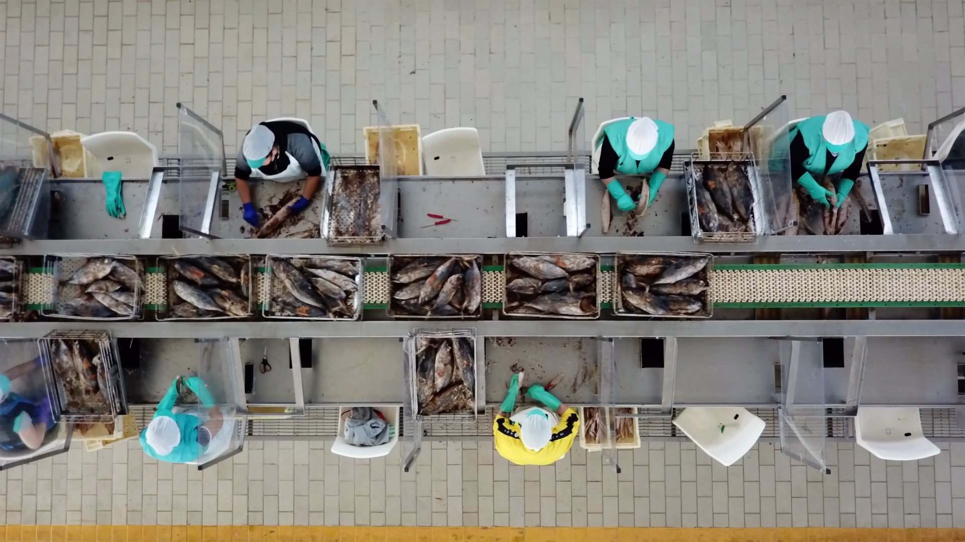 Fábrica conservera en Galicia.