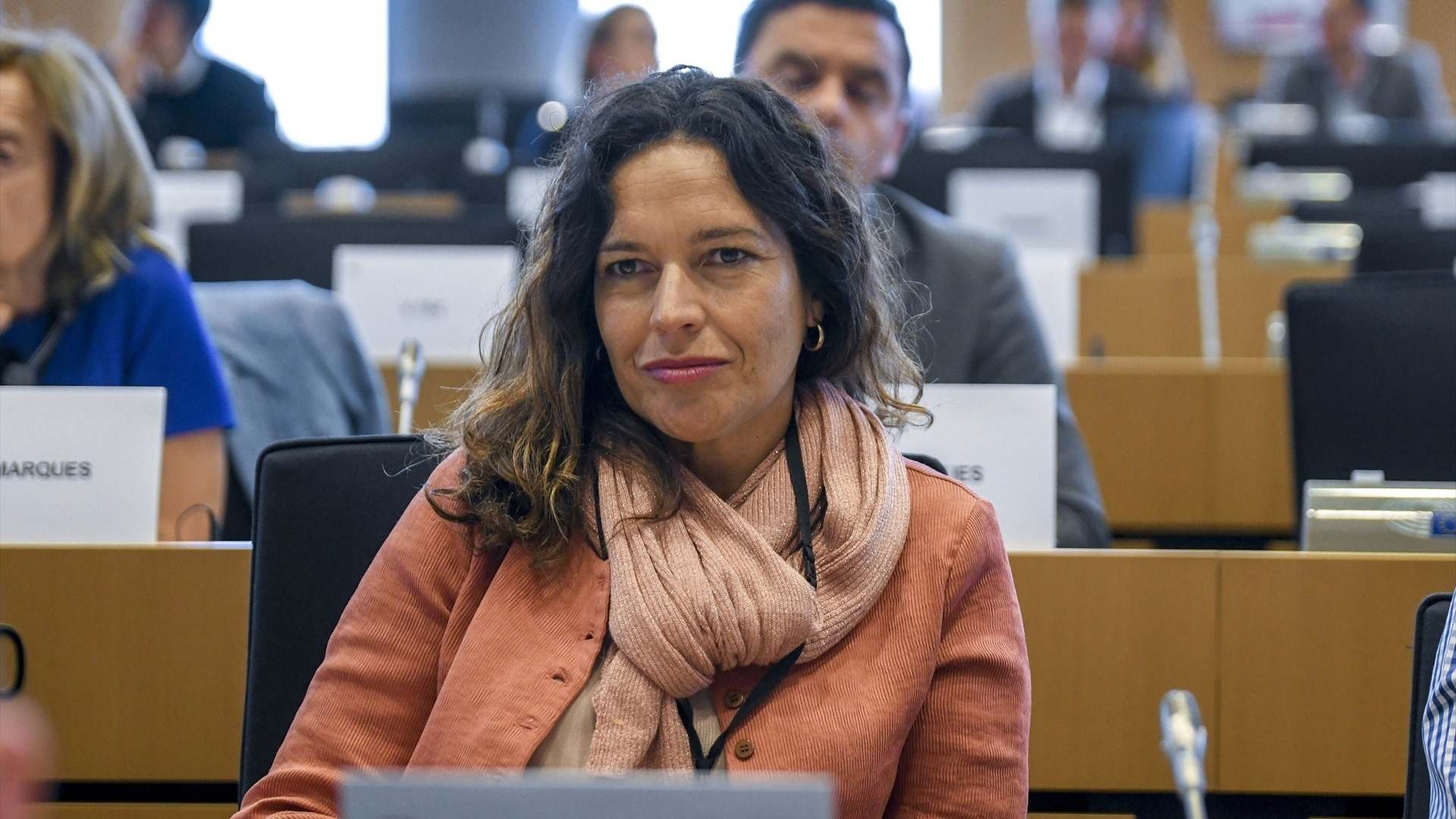 La eurodiputada socialista Lina Gálvez