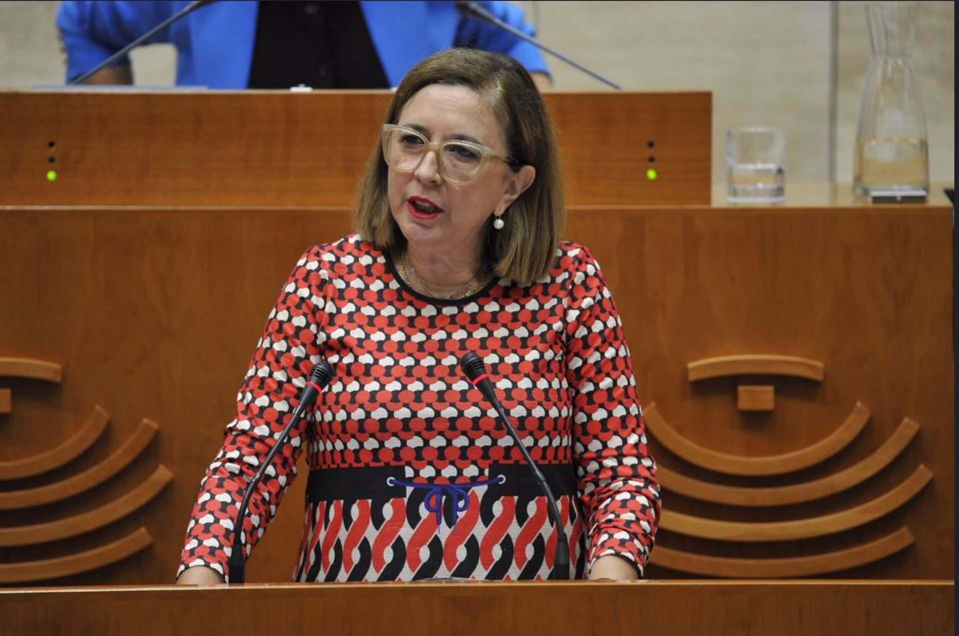 Mercedes Morán, consejera de Agricultura
