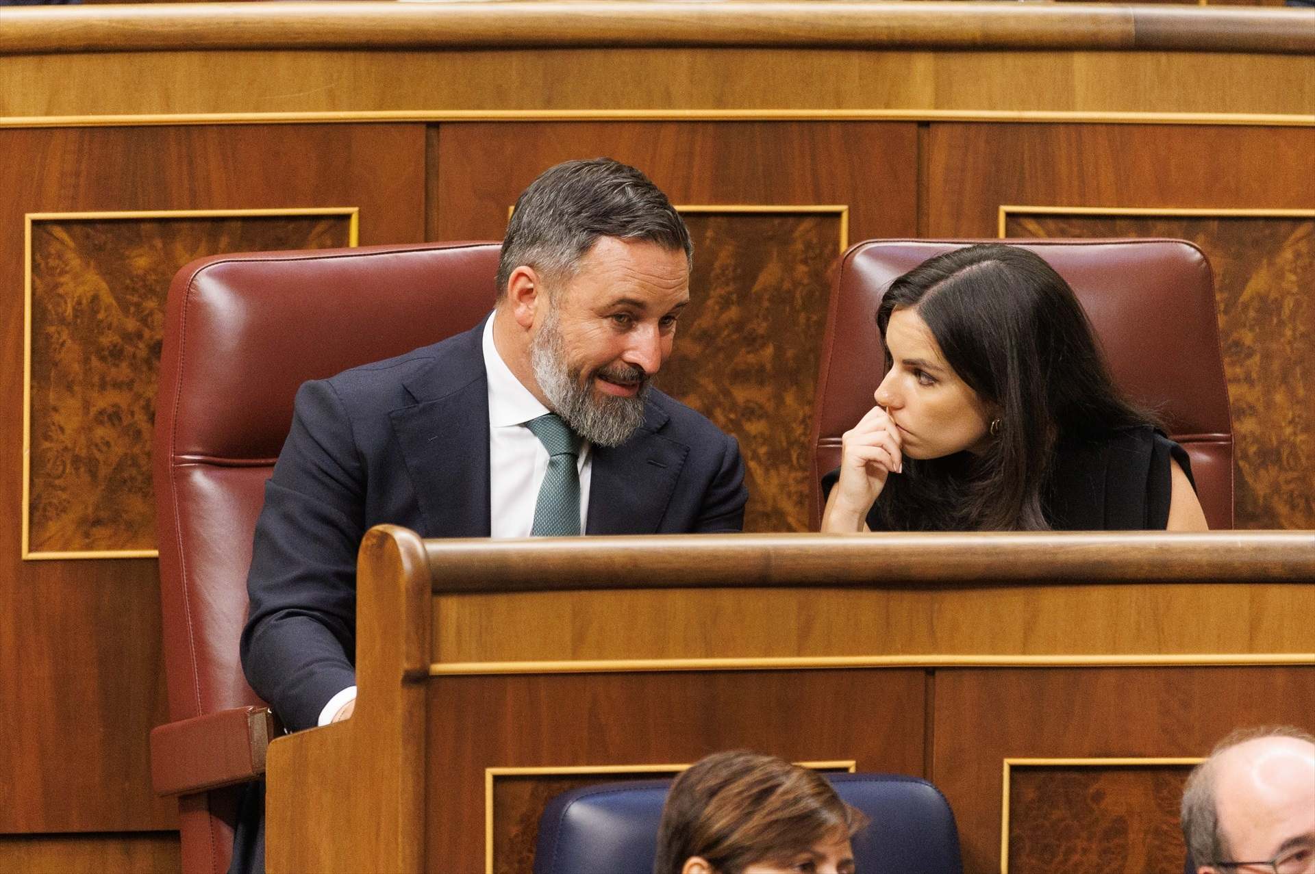 Pepa Milln y Abascal de Vox