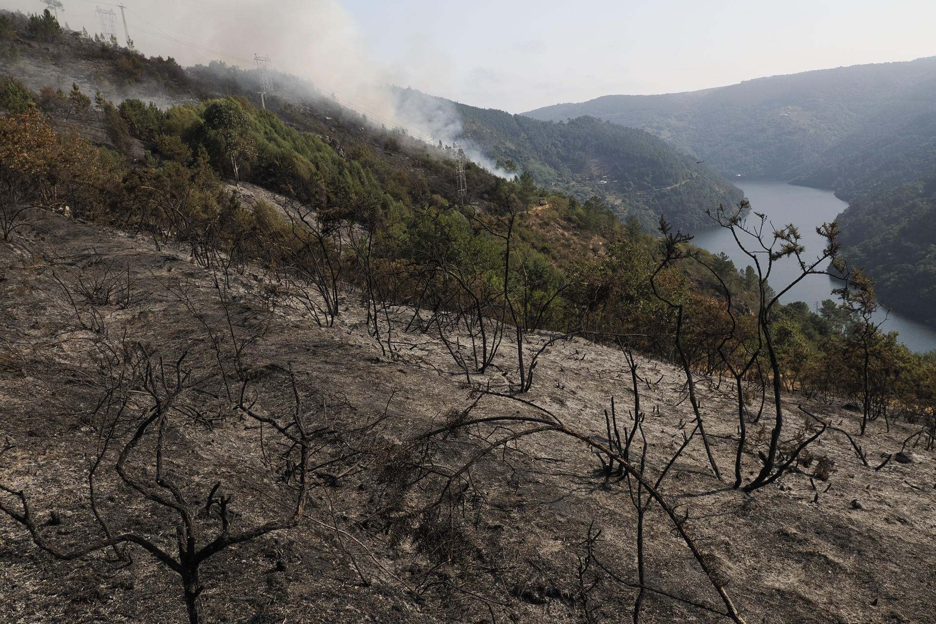 Área boscosa calcinada por el incendio en A Cova (Lugo)