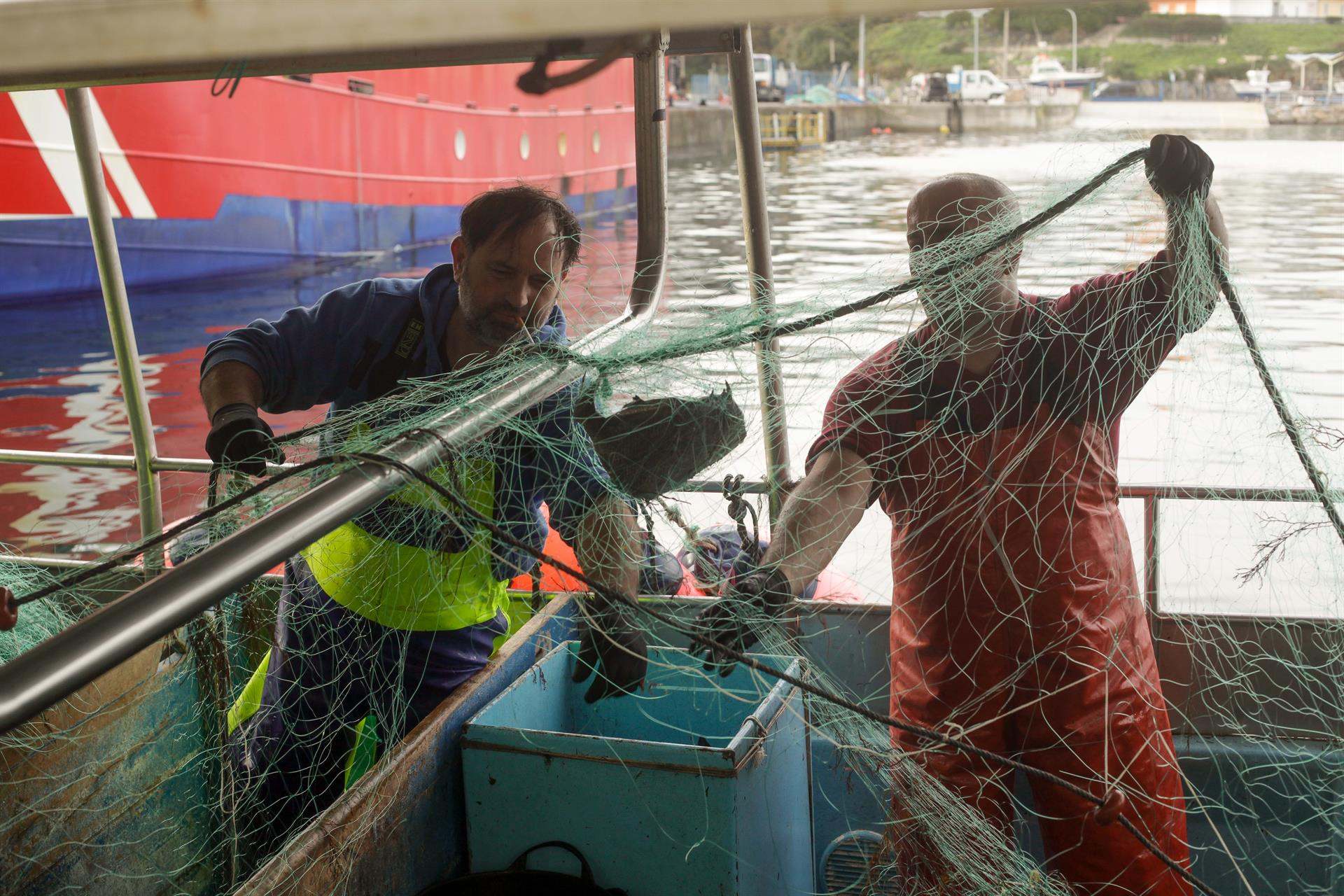 Pescadores descargan el pescado y el marisco capturado en el Puerto de Burela (Lugo).