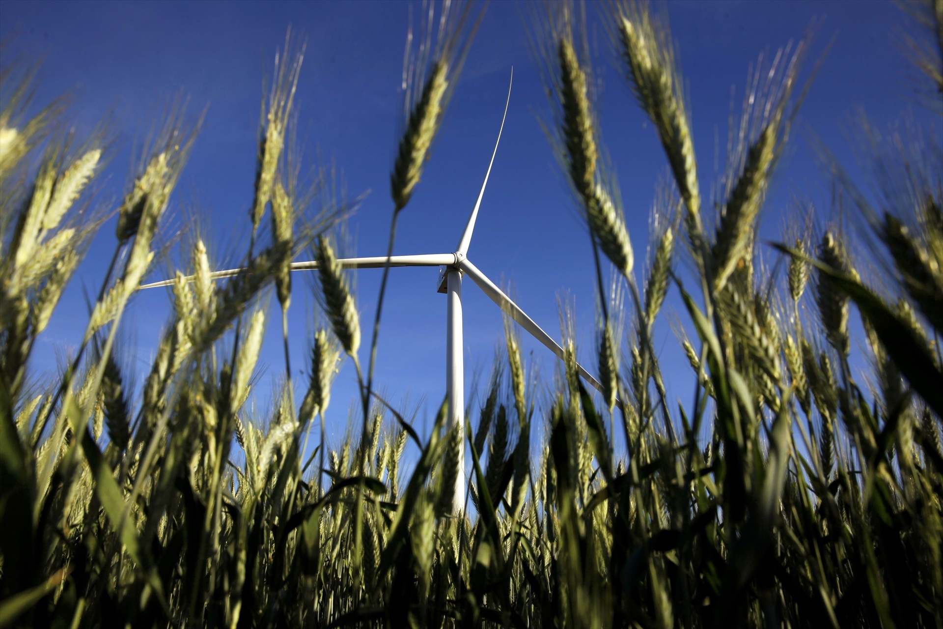 Un molino de viento de GE VERNOVA. Europa Press