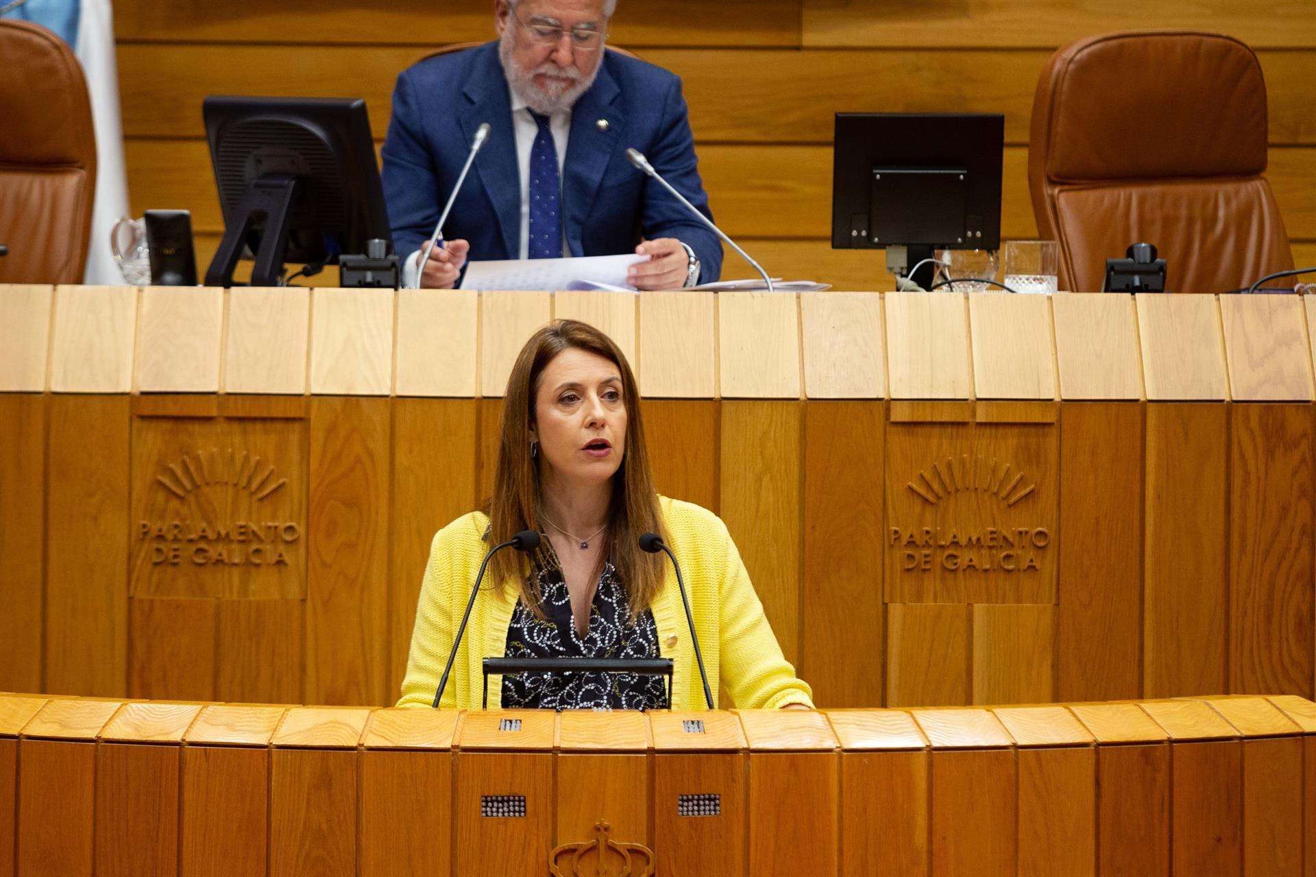 La conselleira de Medio Rural, María José Gómez, en el Parlamento.