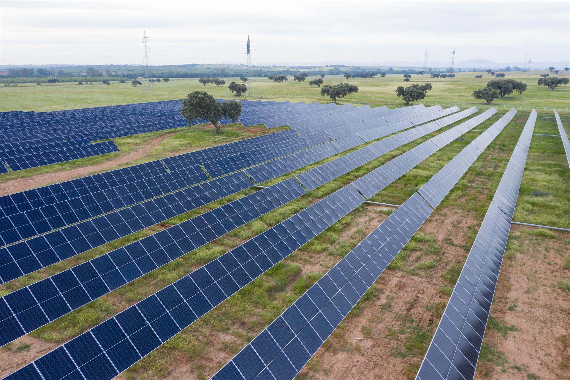 Fotovoltaica - NEXWELL POWER
