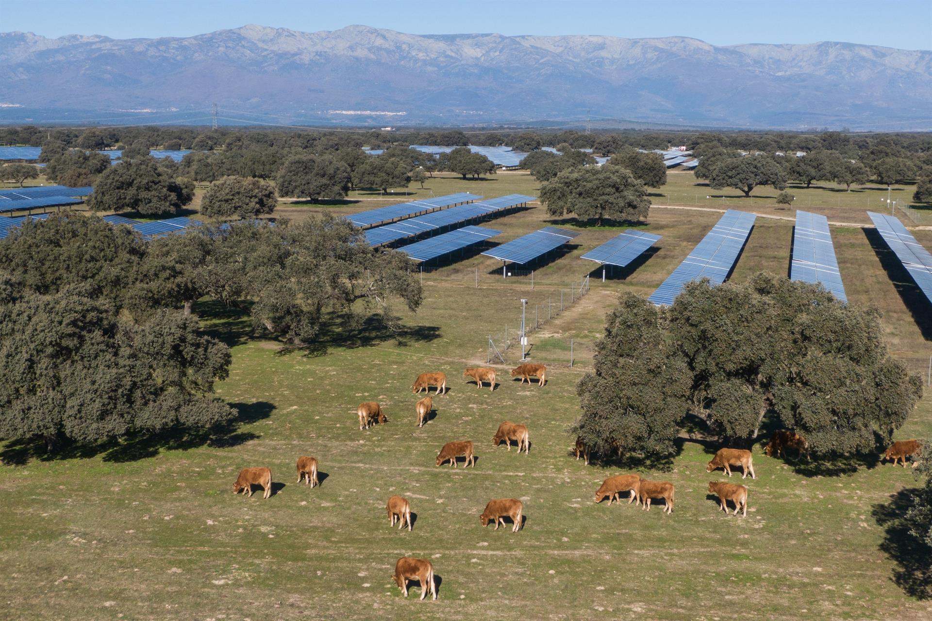 La planta fotovoltaica Talayuela II de Statkraft recibe el Sello de Excelencia en Sostenibilidad de UNEF - STATKRAFT