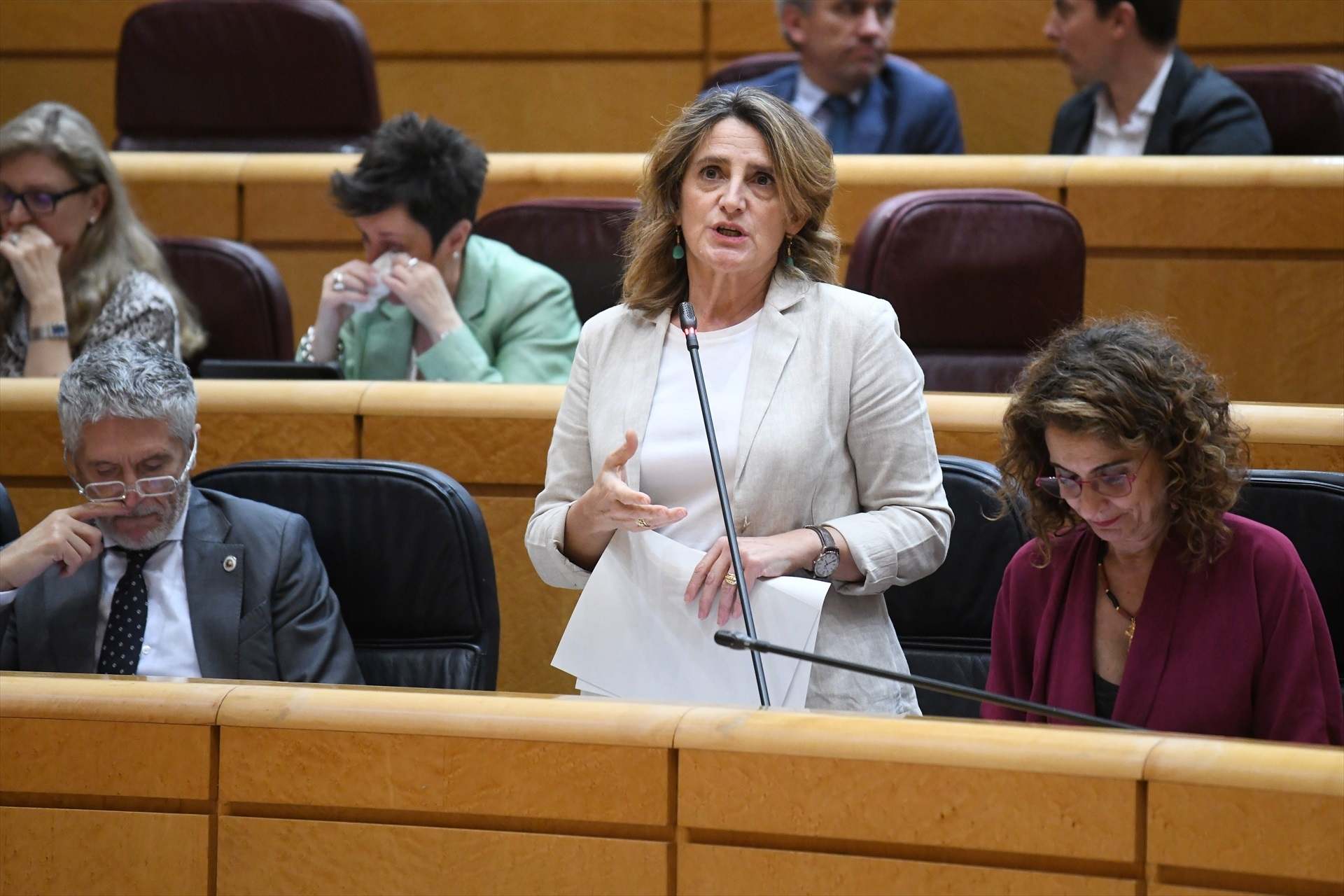 La vicepresidenta tercera del Gobierno, Teresa Ribera. Europa Press