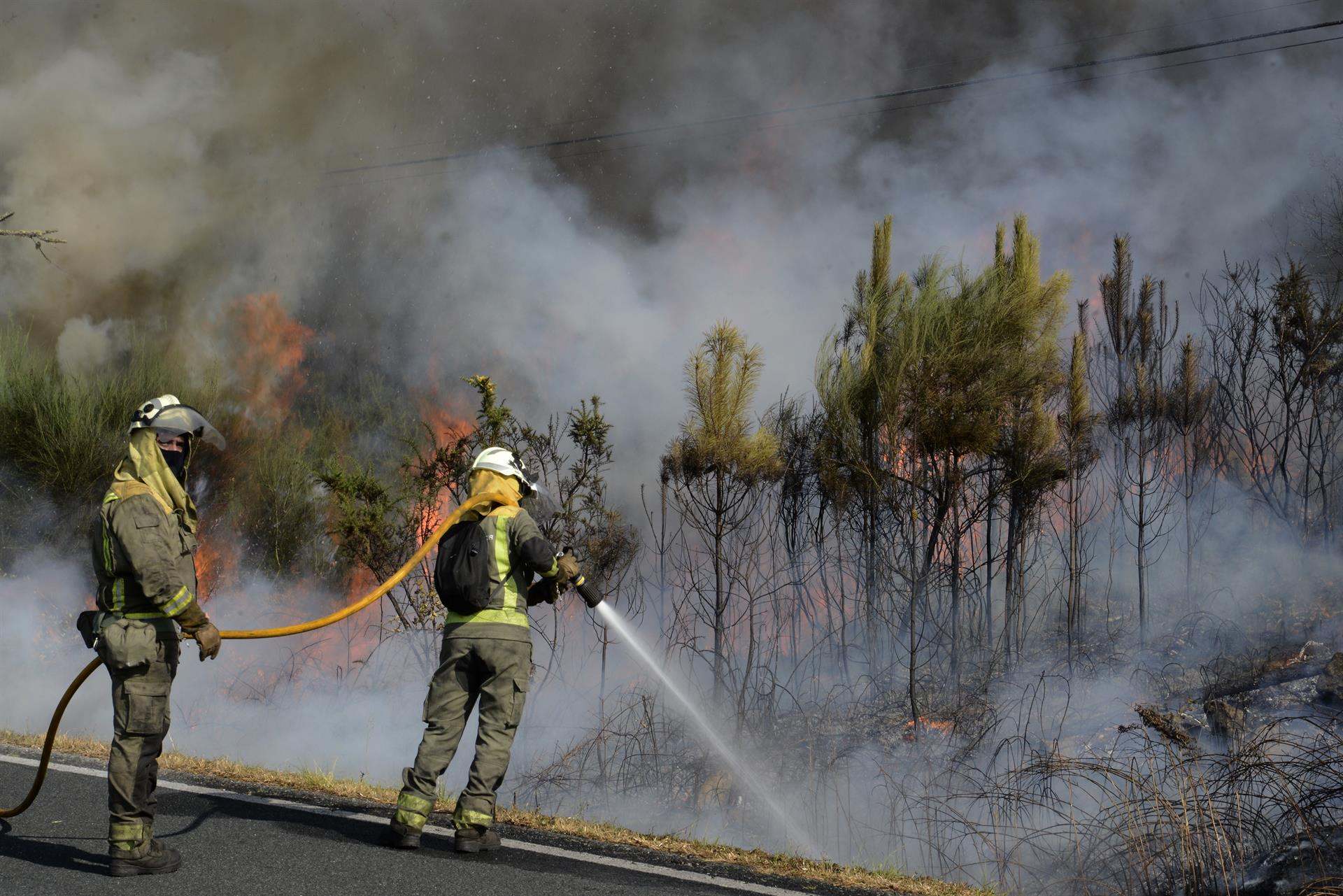 Varios bomberos intentando apagar un fuego en la provincia de Ourense.