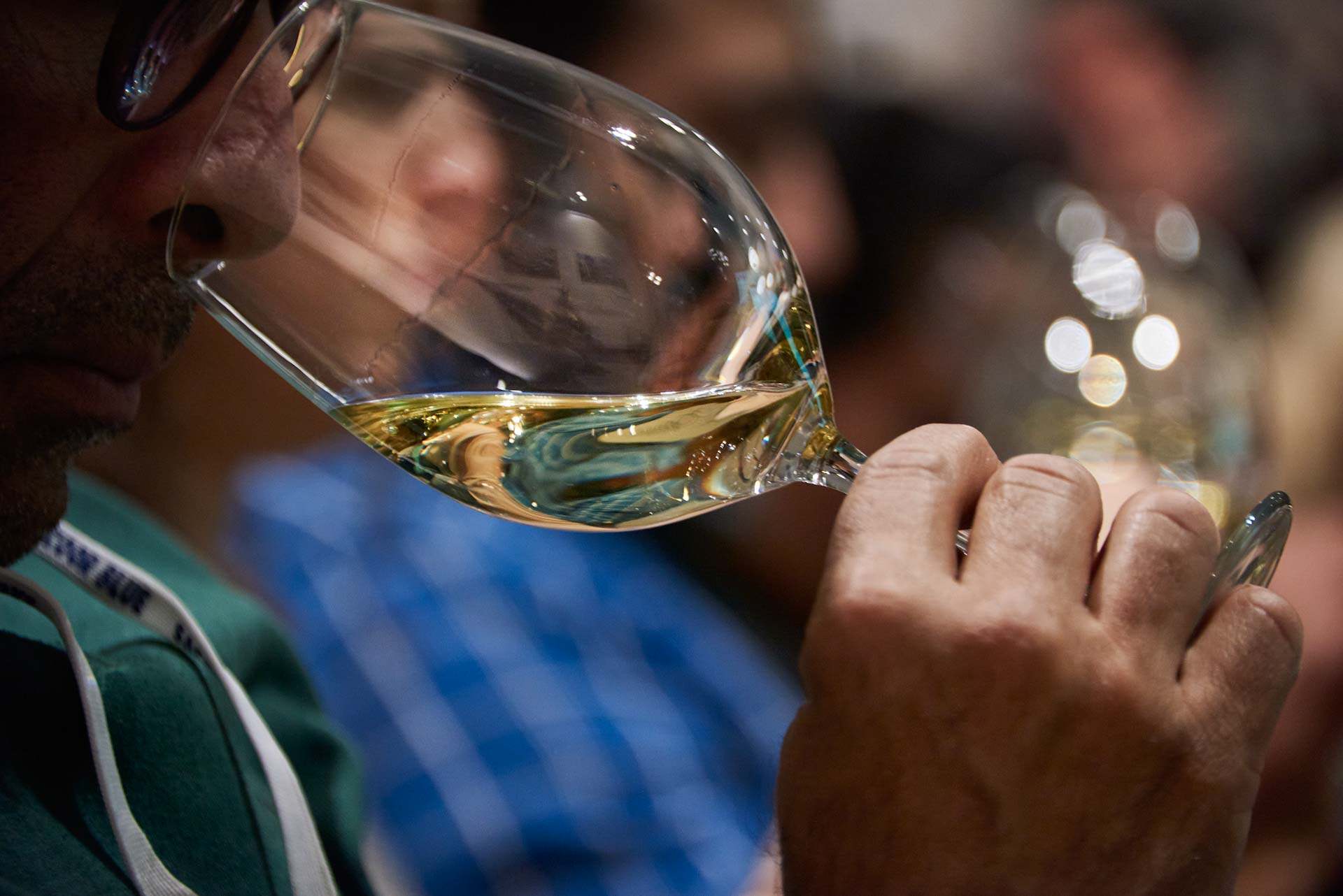Vino Rueda