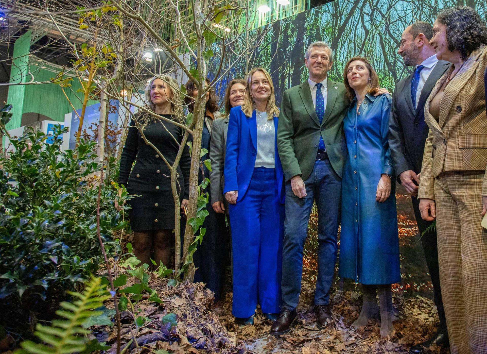 Bosque ubicado en el stand de Galicia en Fitur.