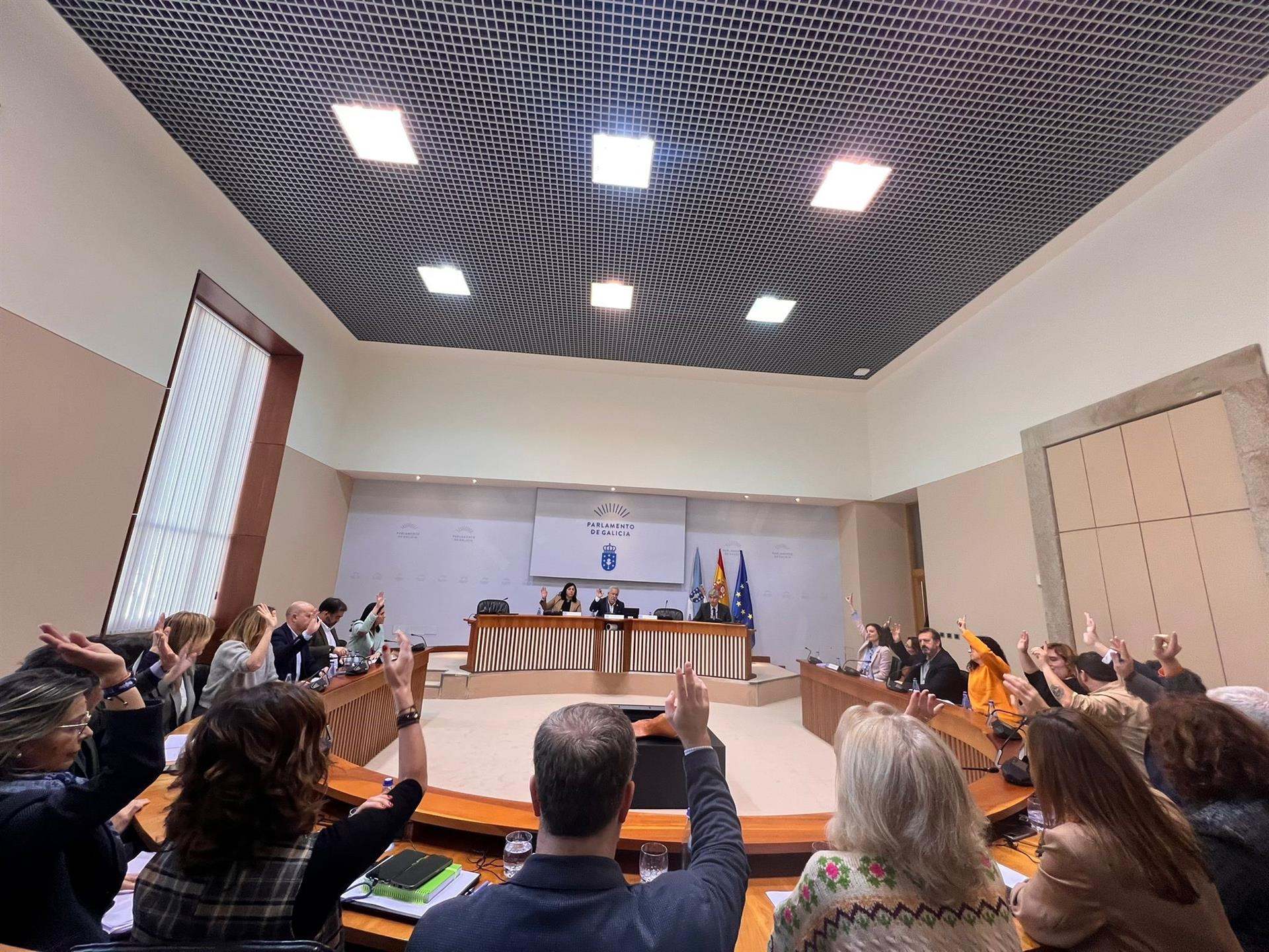 Votación por unanimidad para que comparezca la vicepresidenta segunda de la Xunta, Ángeles Vázquez, en la Diputación Permanente de la Cámara para explicar la situación del vertido de pélets.