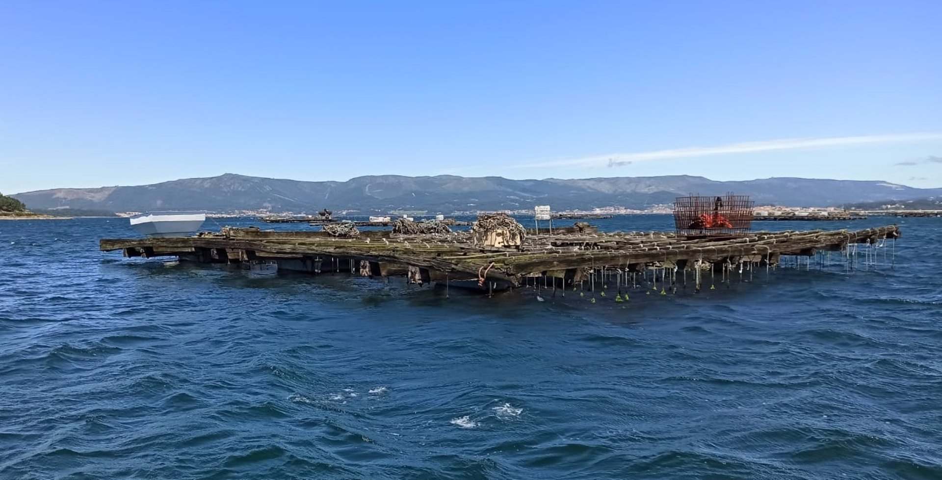 Batea de mejillón em la ría de Vigo.