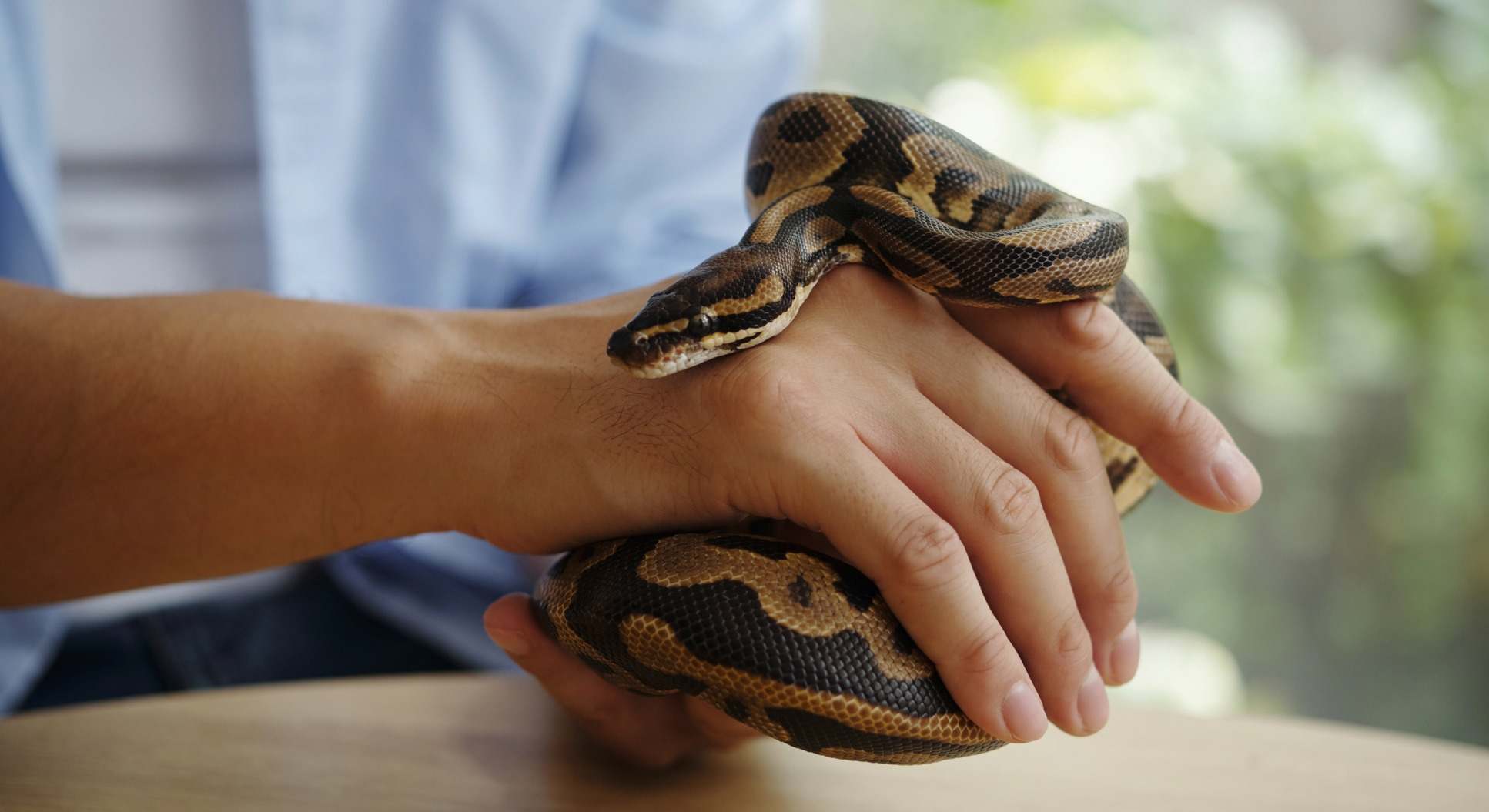 Hombre con serpiente en las manos