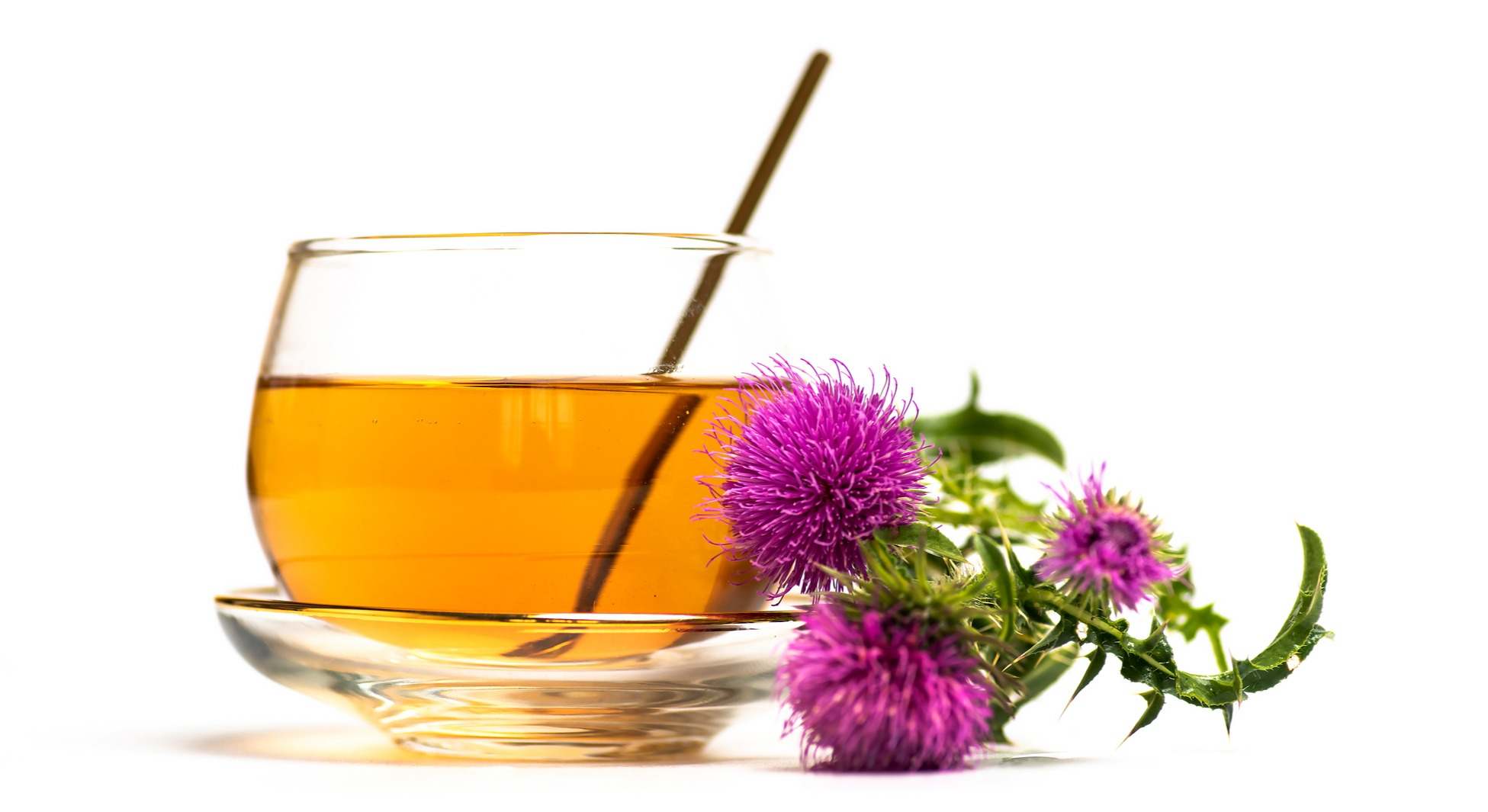 Infusión de cardo mariano