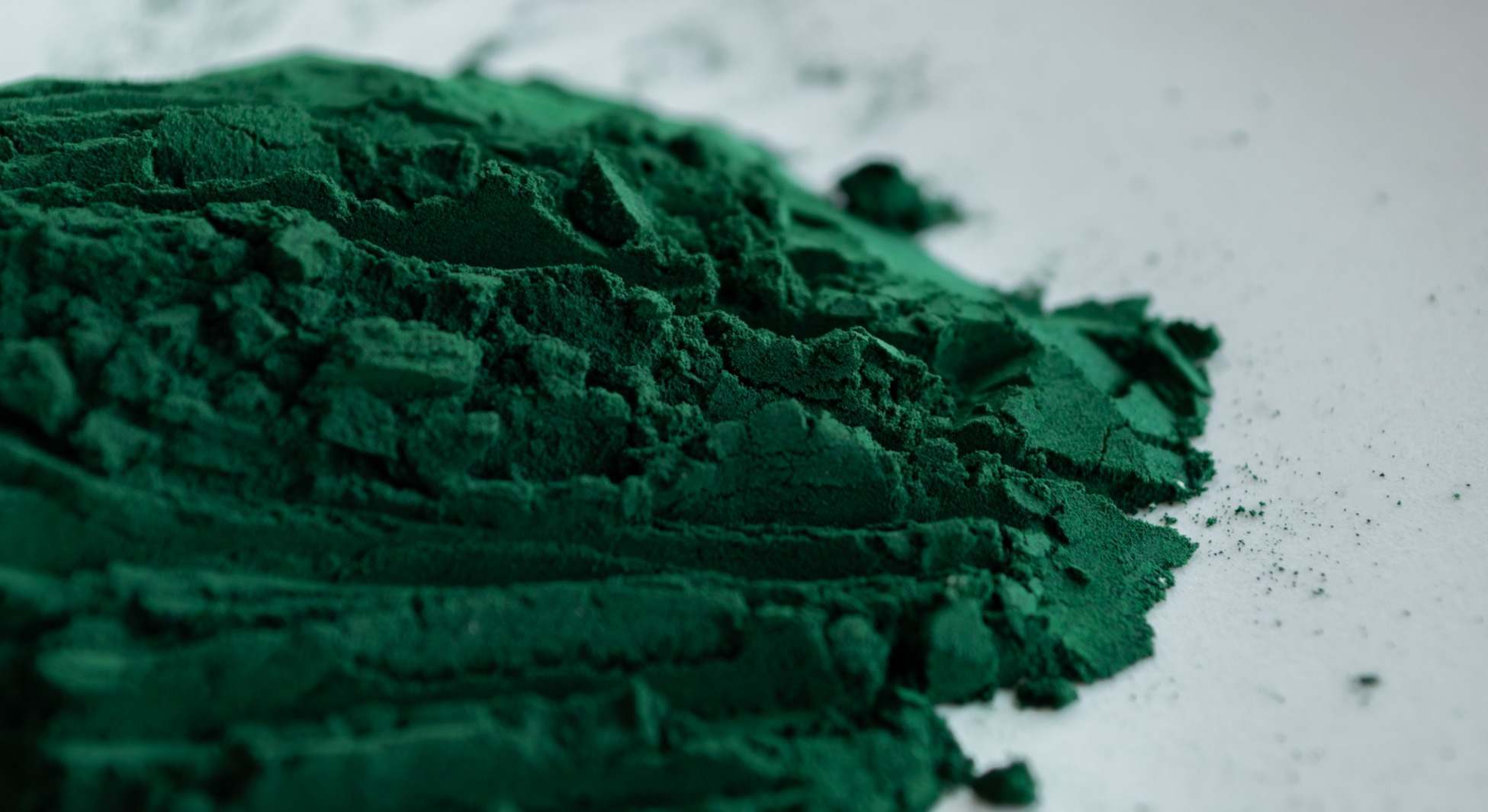 Polvo de microalgas de espirulina