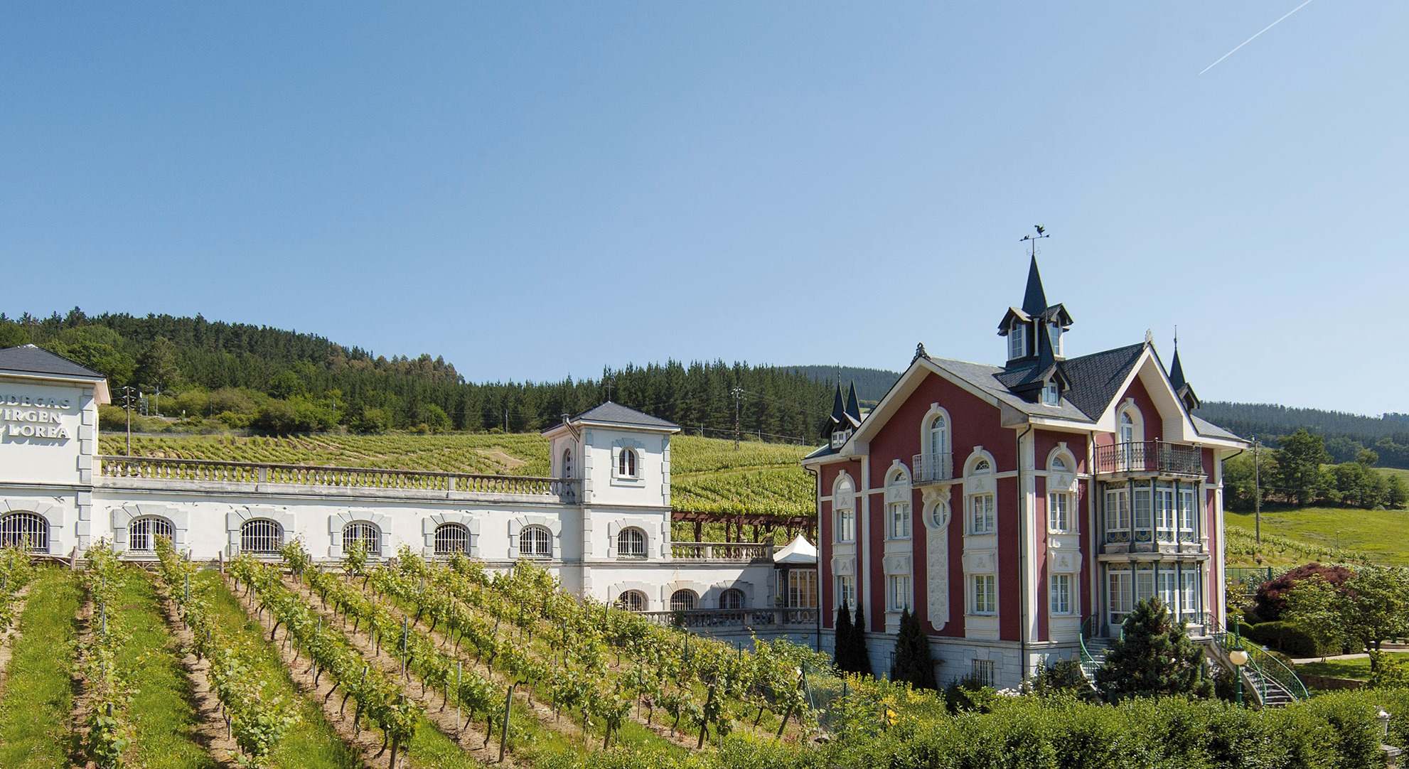 bodegavirgenlorea
