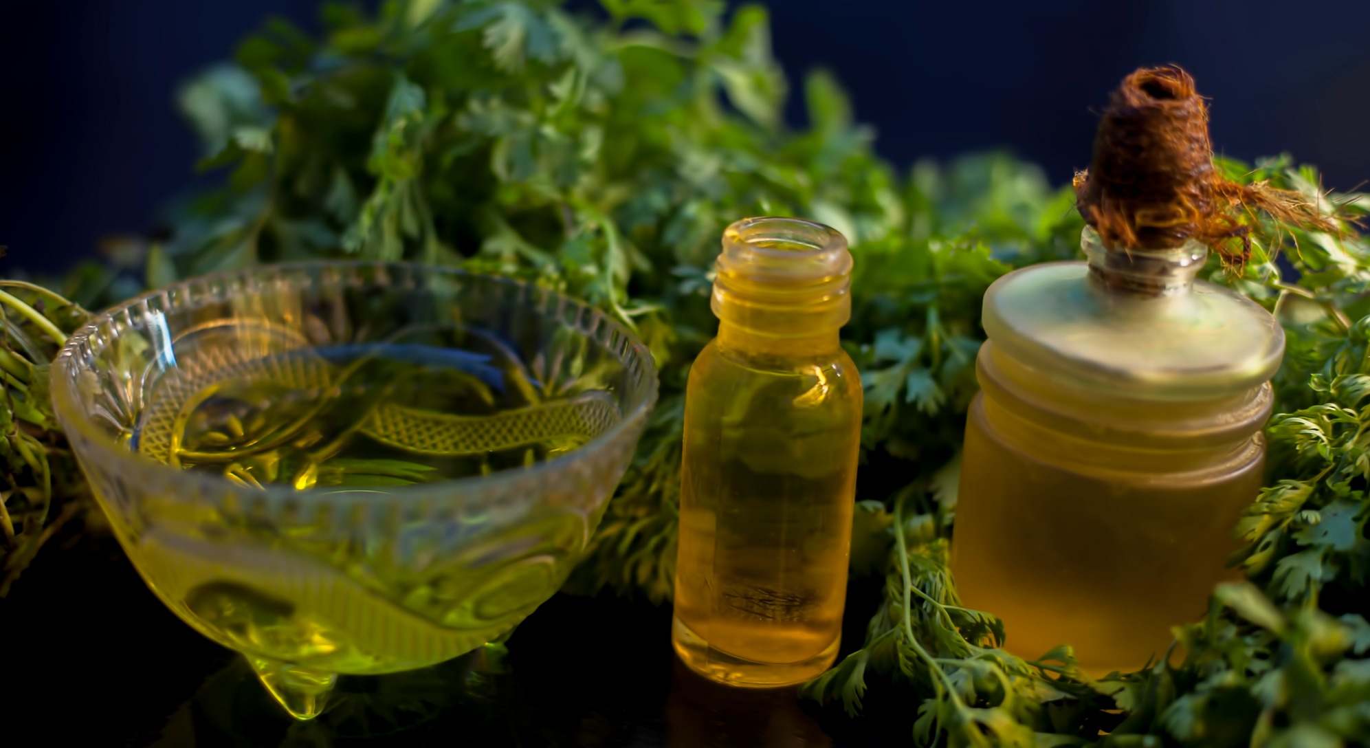 Hojas de cilantro junto a té y aceite esencial de este