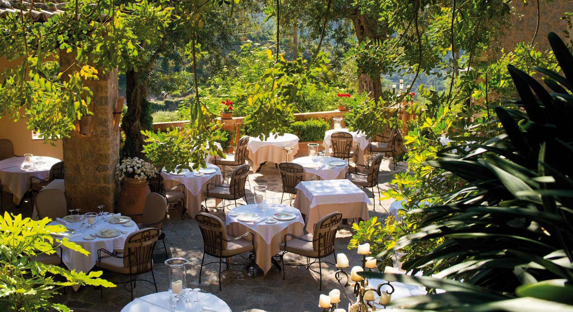 El Olivo en Mallorca