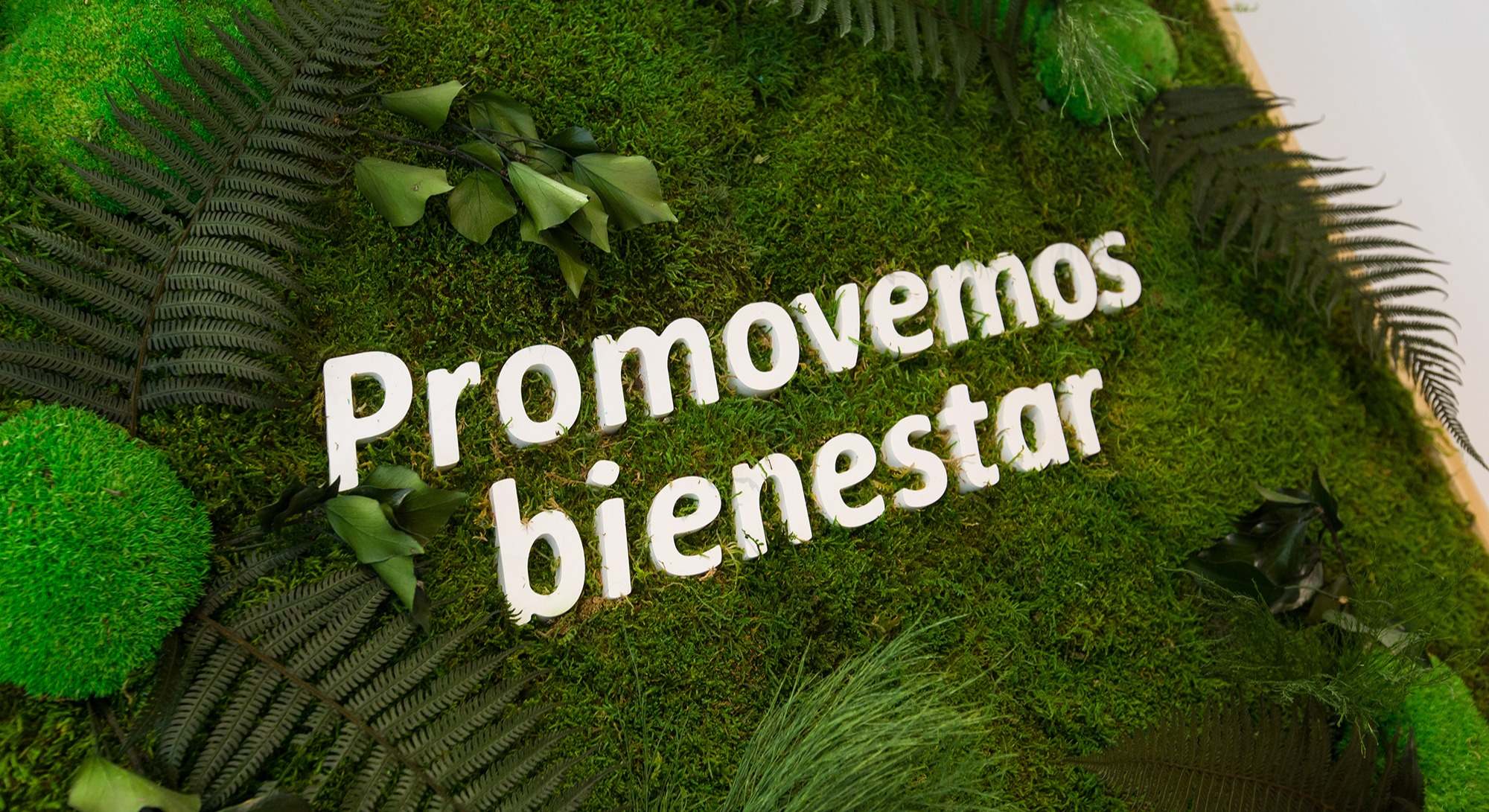 Espacio Ecoliving de AEDAS Homes en su nueva oficina en Bilbao