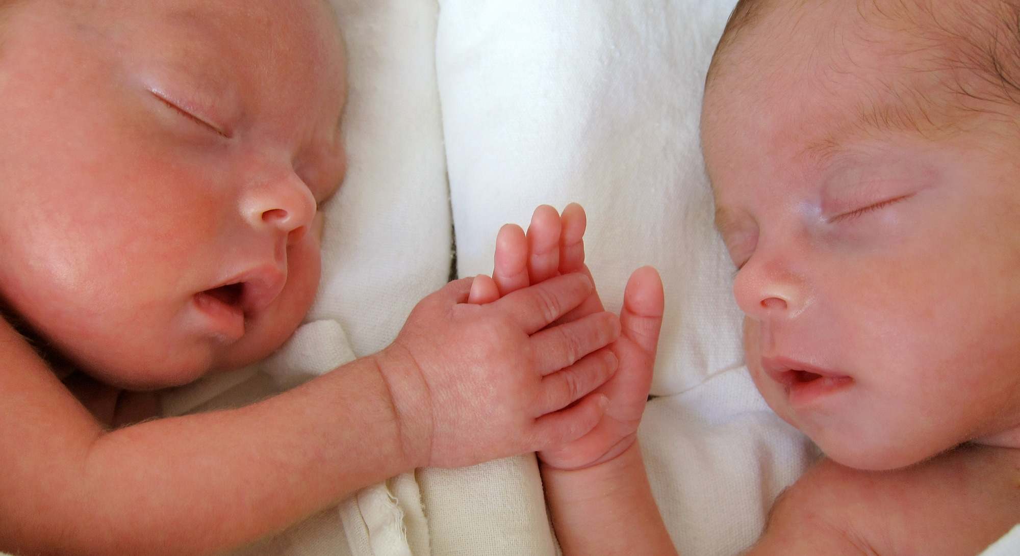 Imagen de dos gemelos recién nacidos. / Foto: iStock