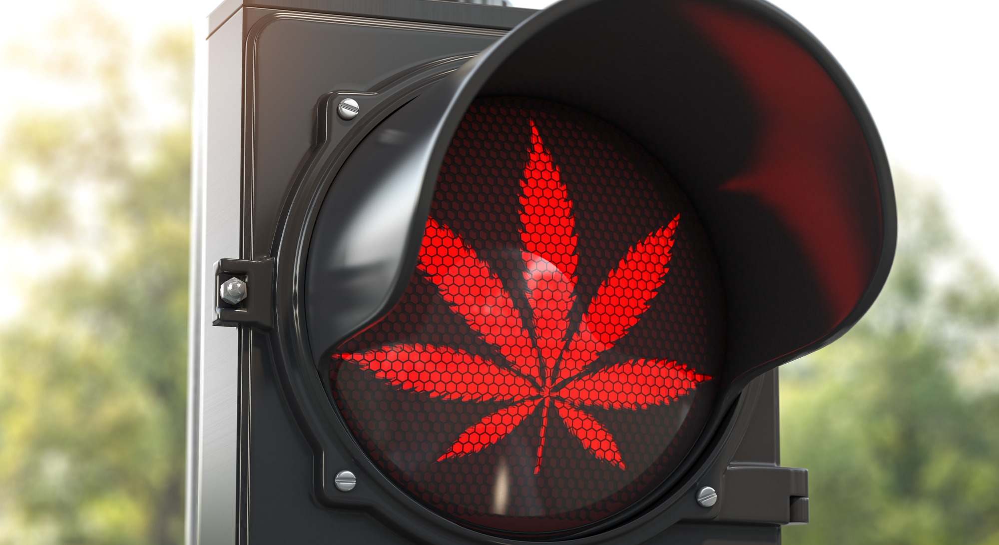Semáforo en rojo con la planta del cannabis