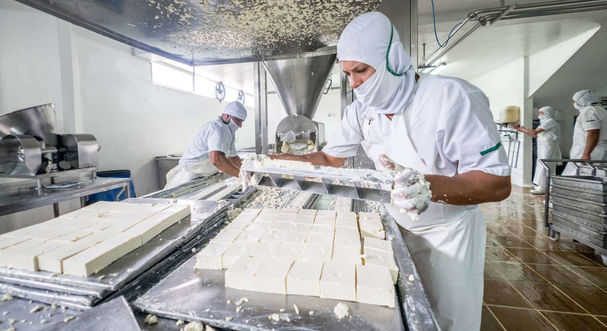 Industria lactea