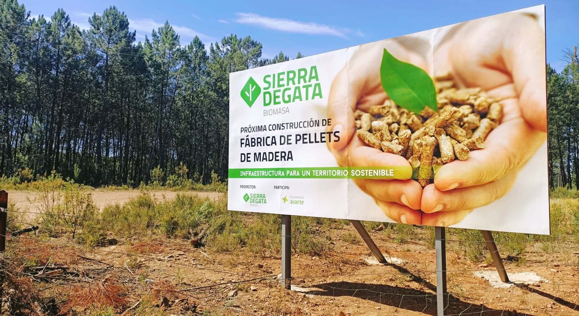 Inicio obras pellets