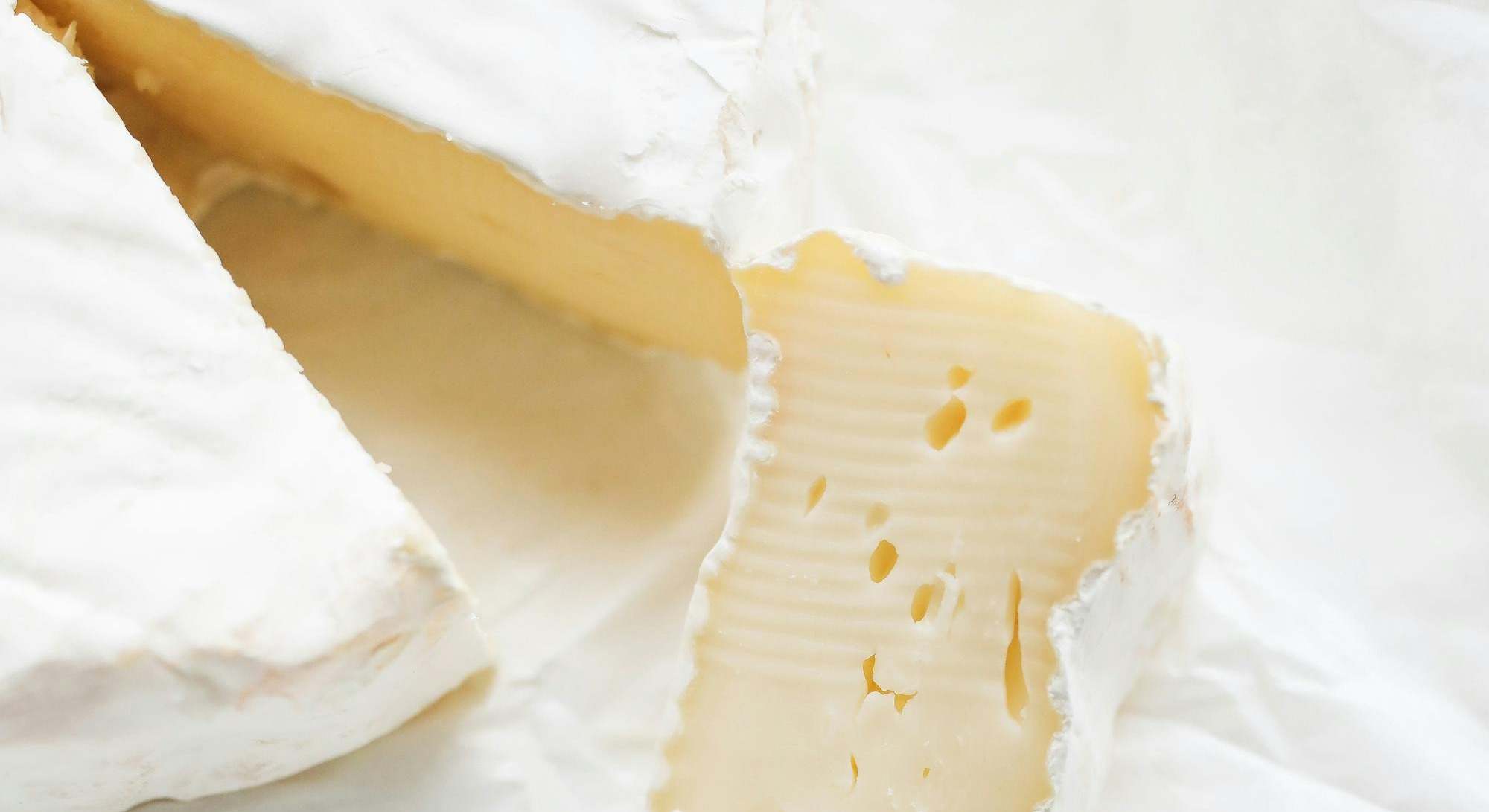 El queso es un alimento que se obtiene a partir de la fermentación de la leche