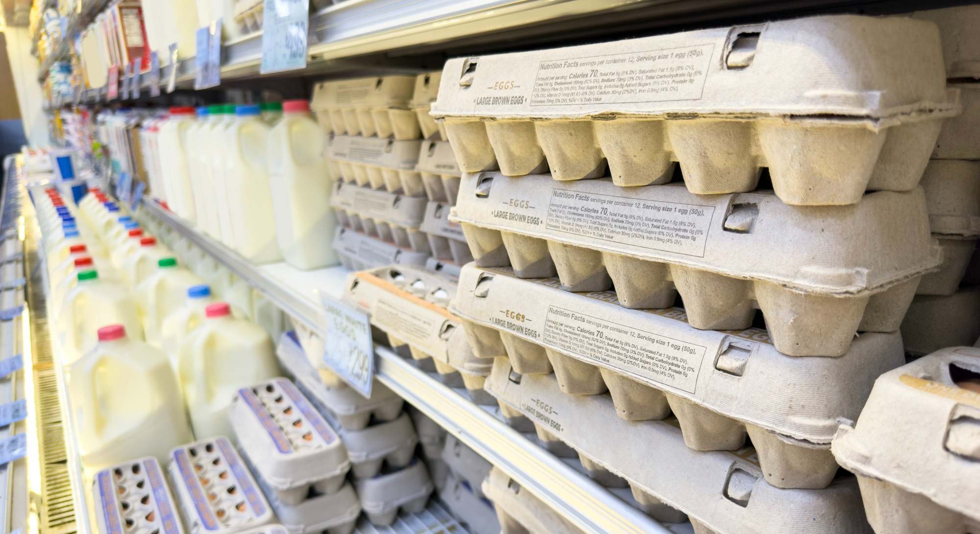 Huevos en un supermercado de EEUU. Foto: iStock