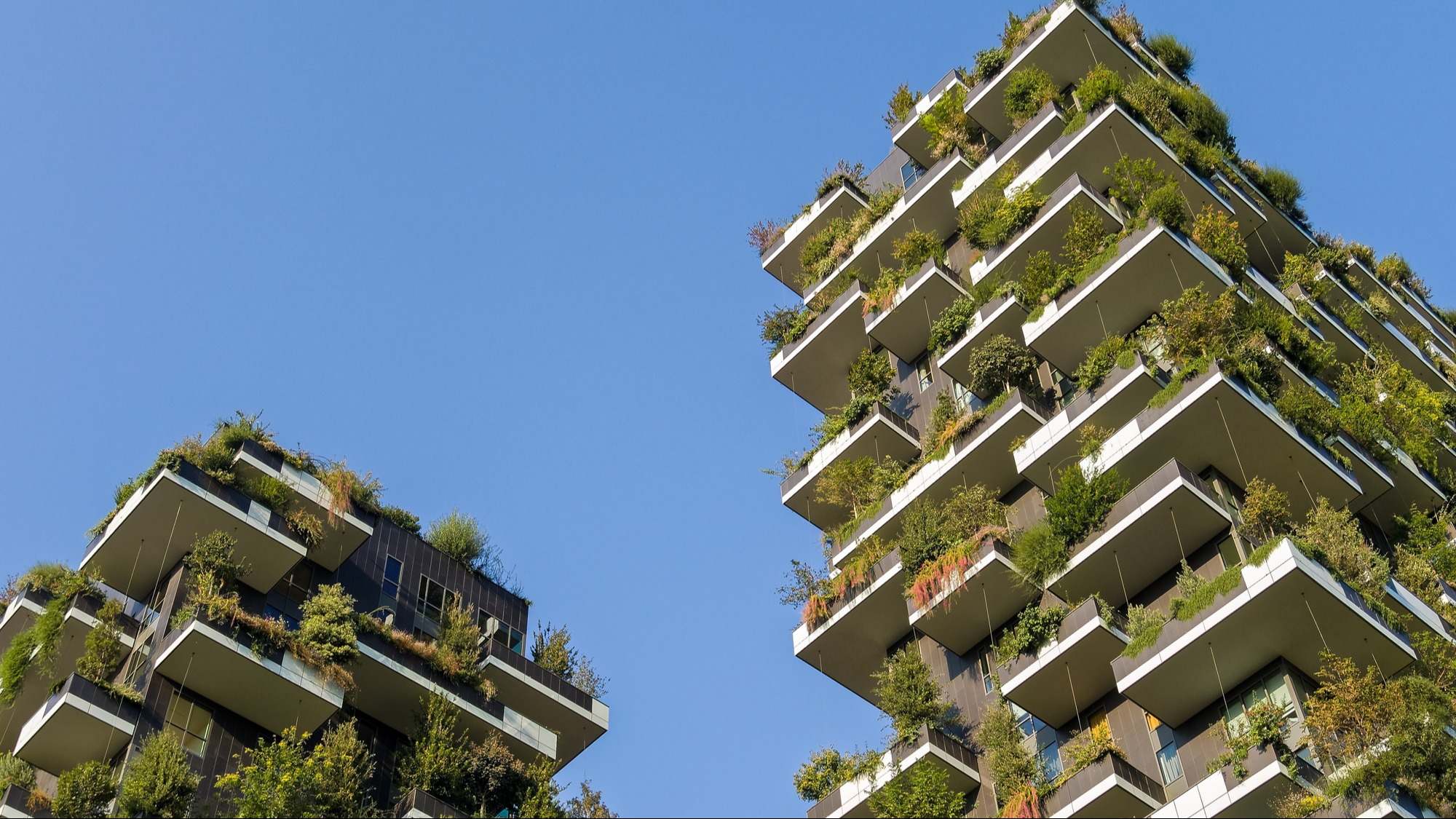Bloques de pisos con plantas