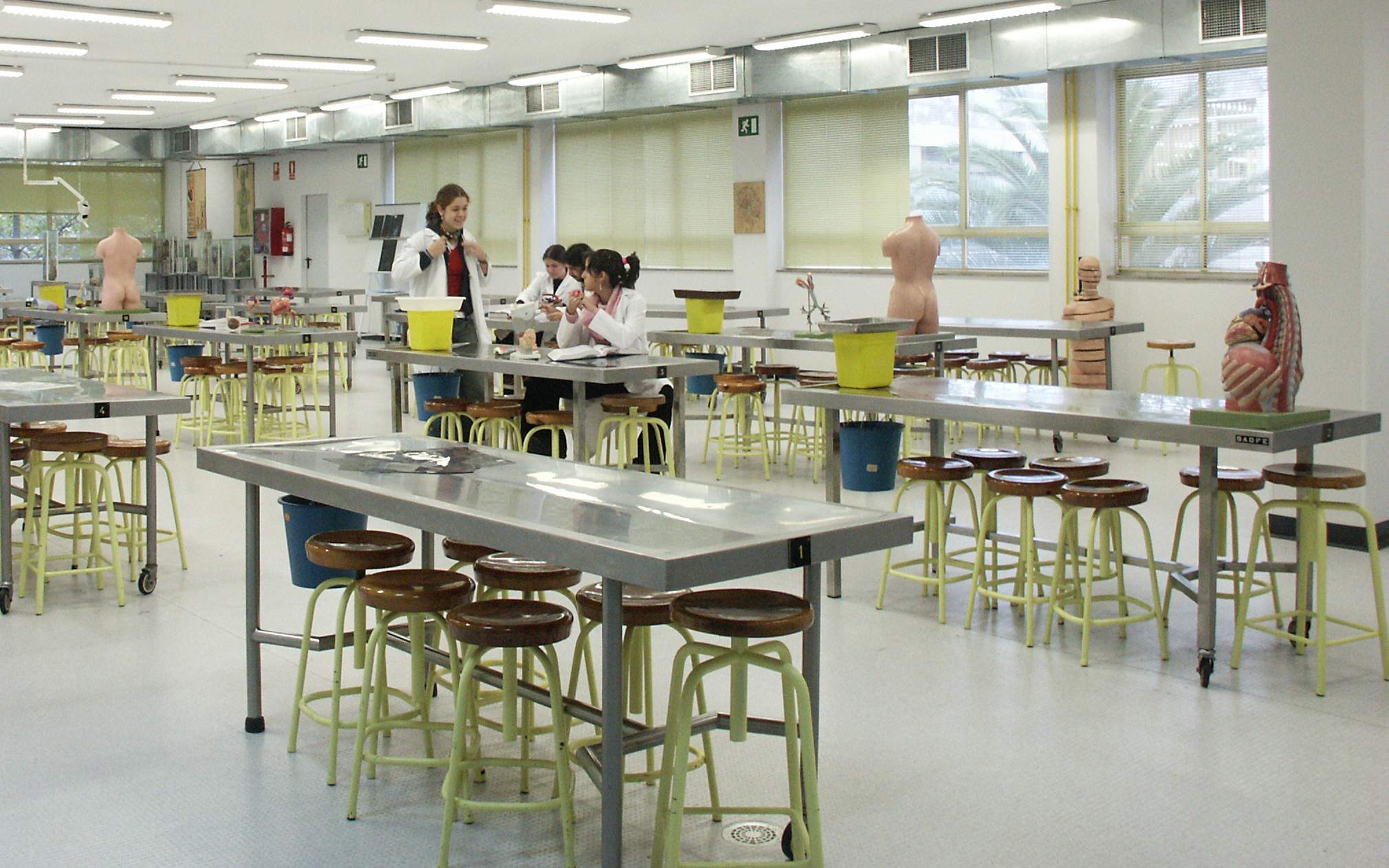 grado-ciencias-biomedicas.jpg