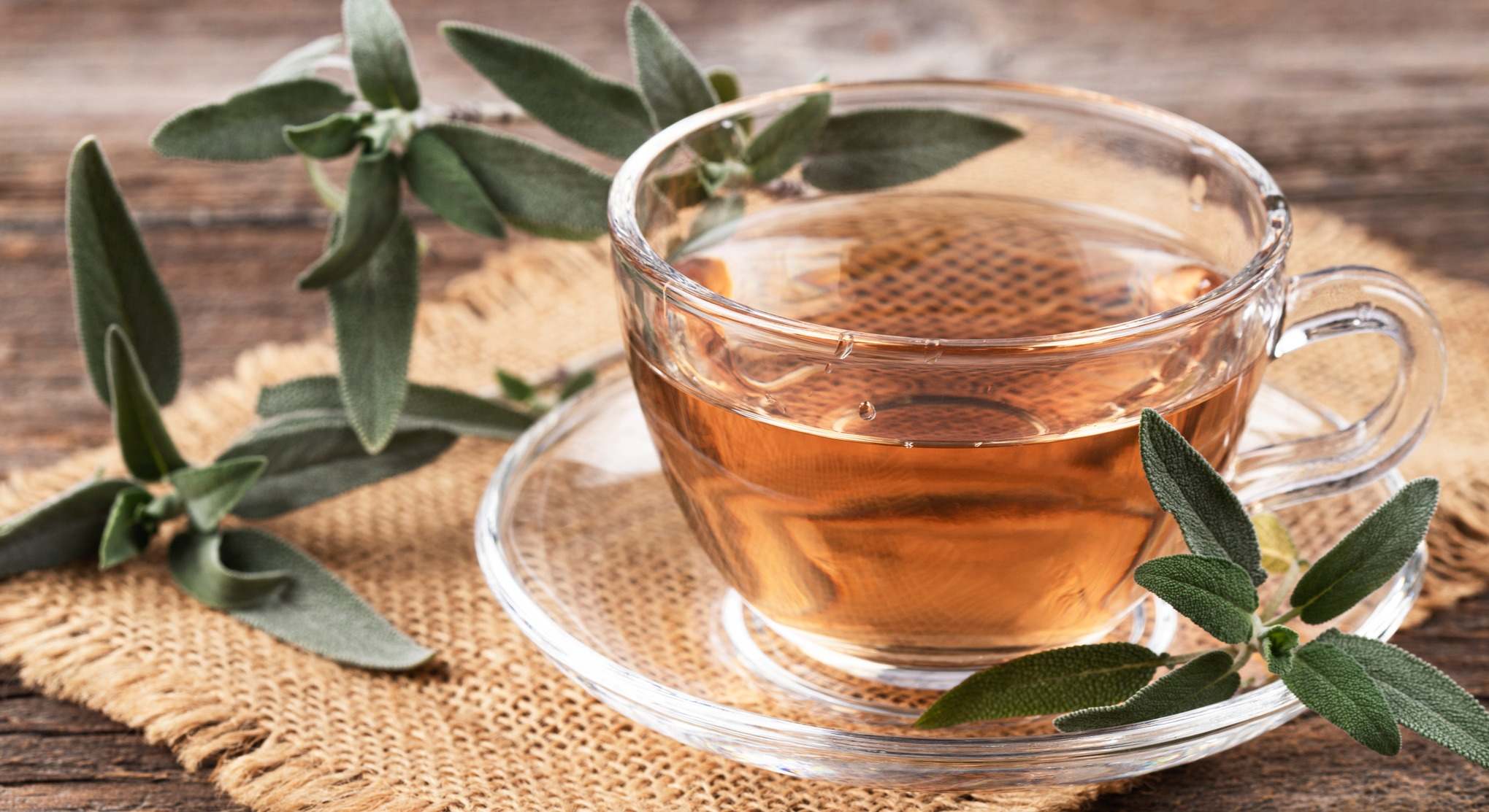 Taza de infusión de salvia