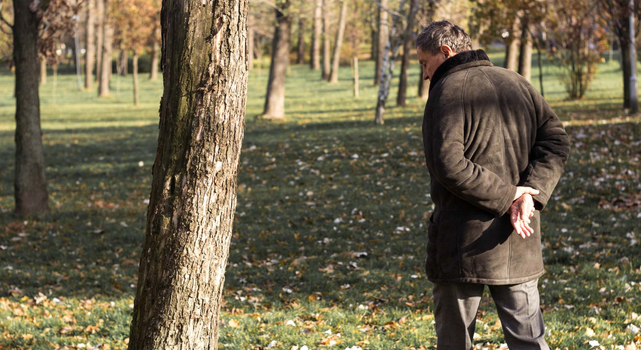 Hombre caminando por el bosque con las manos en la espalda