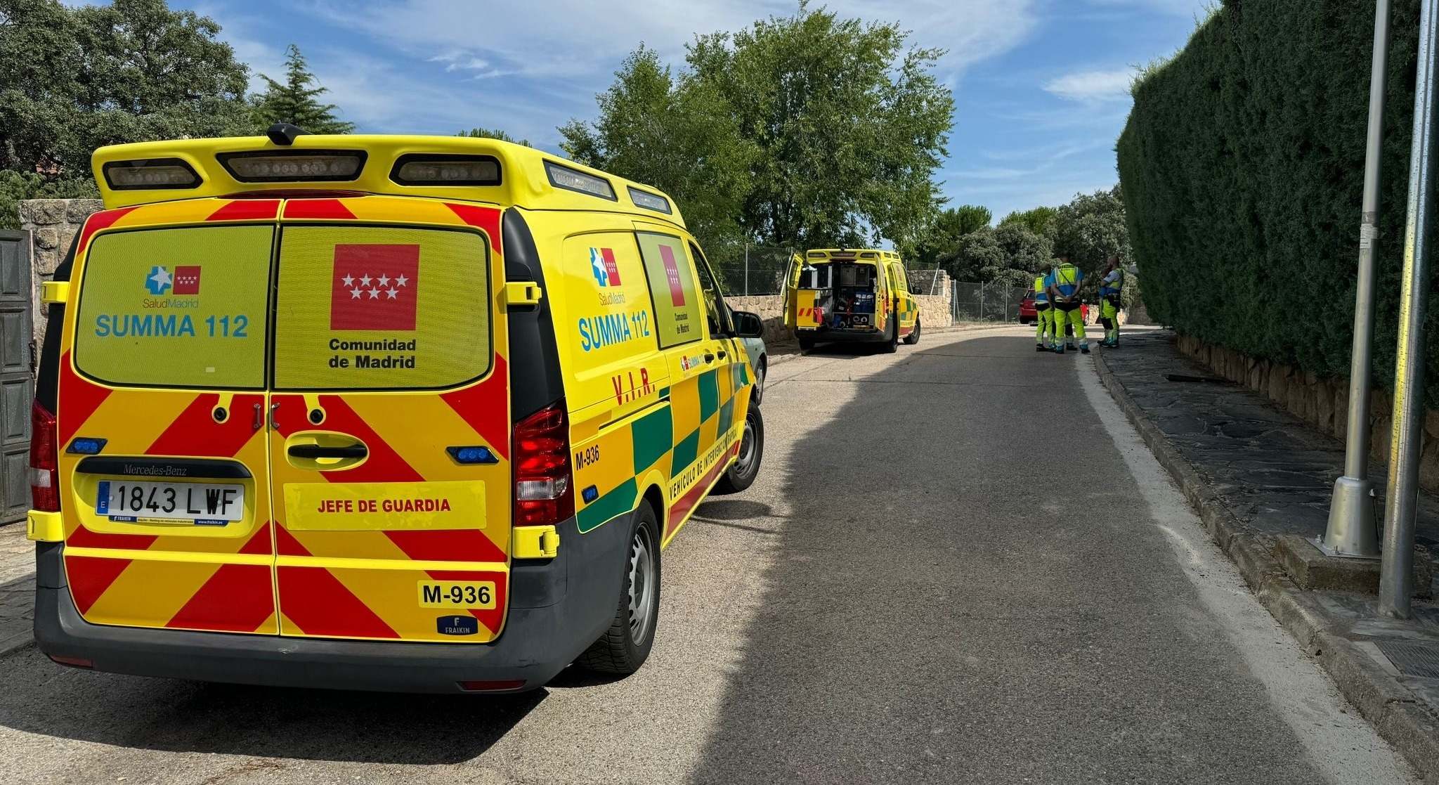 Herido grave un hombre tras morderle una víbora en su casa de Valdemorillo.